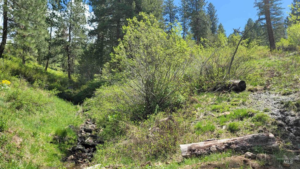 Photo of 2488 Lappin Lane, Council, ID 83612 (MLS # 98948902)