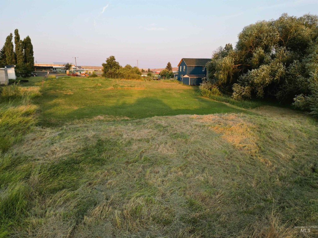 Photo of 1908 King St, CottonWood, ID 83522 (MLS # 98996416)