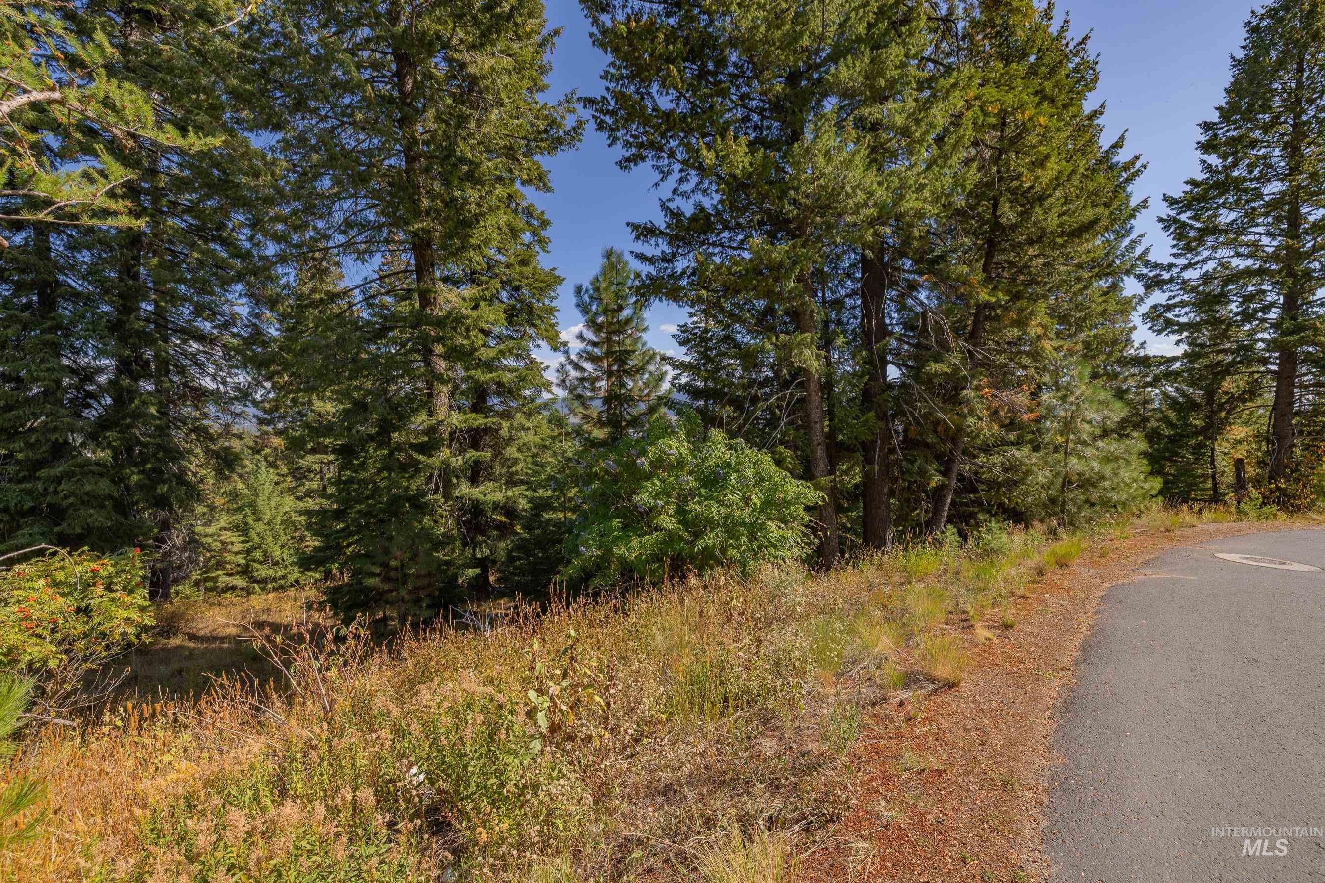 View with road frontage