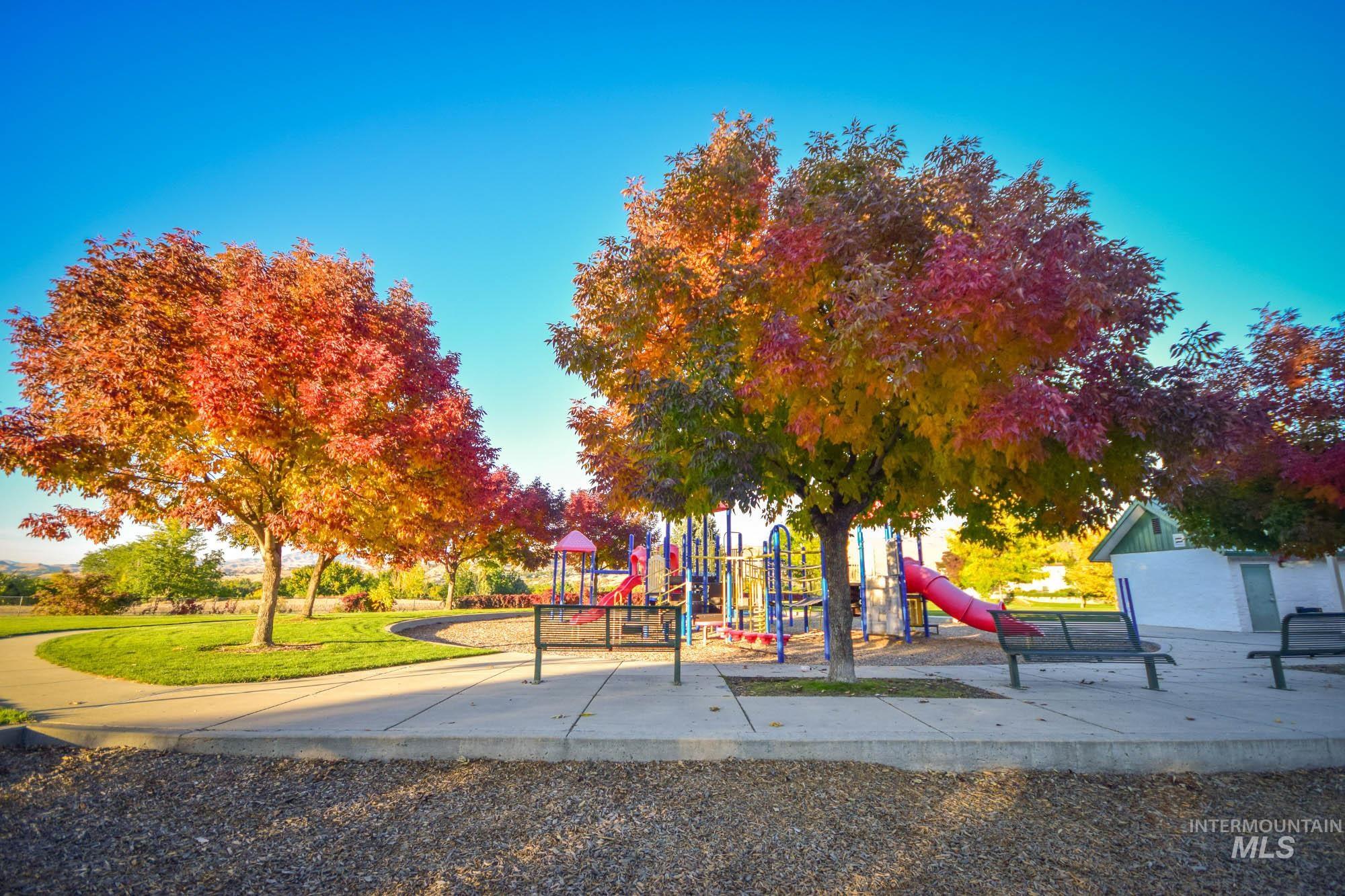 Community playground with a yard