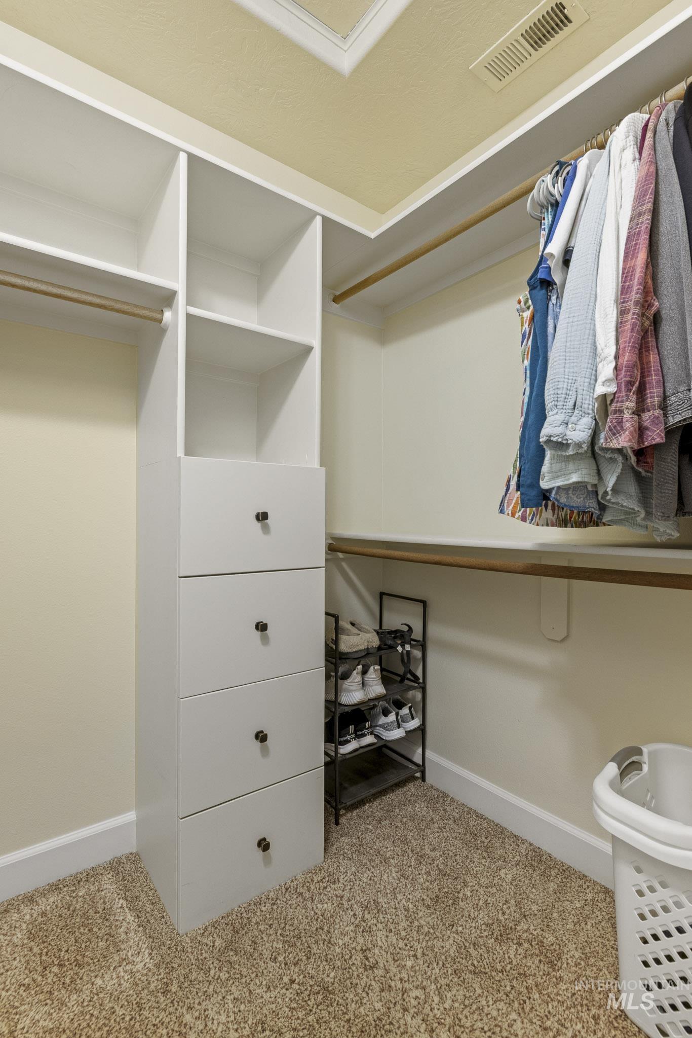 Spacious closet featuring light carpet