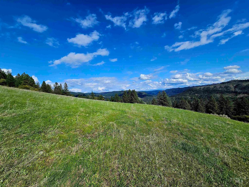 Photo of TBD Dent Bridge Rd, Orofino, ID 83544 (MLS # 98931831)