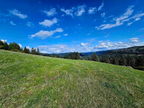 Photo of 0 Dent Bridge Rd, Orofino, ID 83544 (MLS # 98931831)