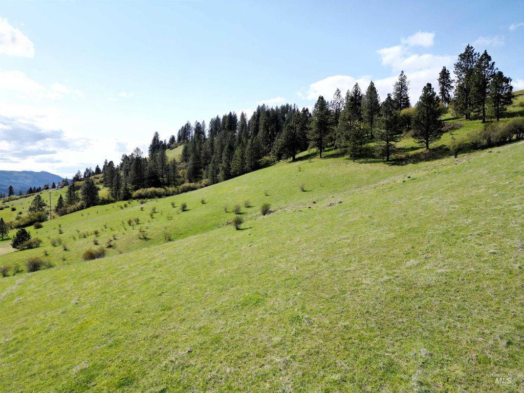 Photo of TBD Dent Bridge Rd, Orofino, ID 83544 (MLS # 98931831)