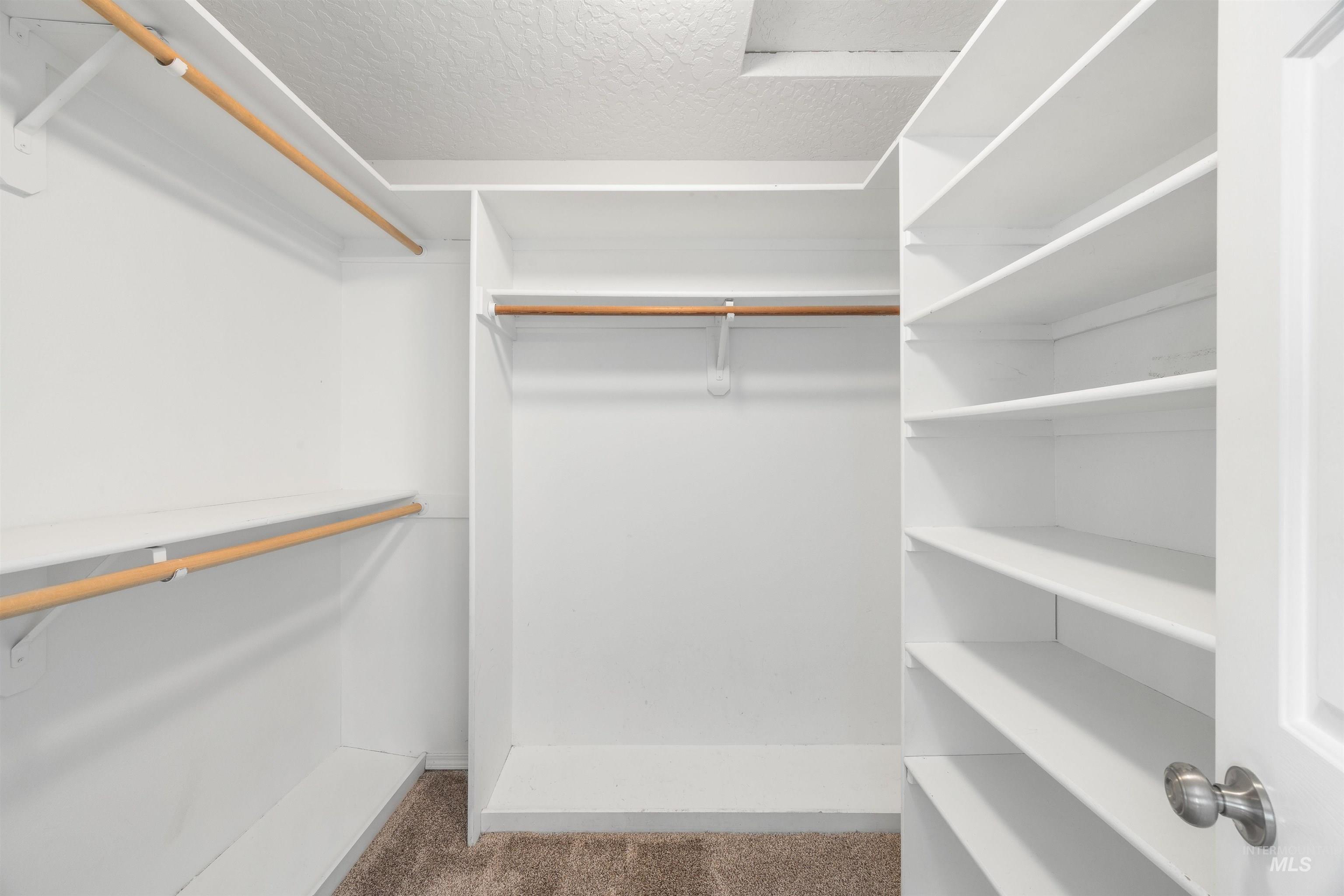 Spacious closet featuring dark carpet