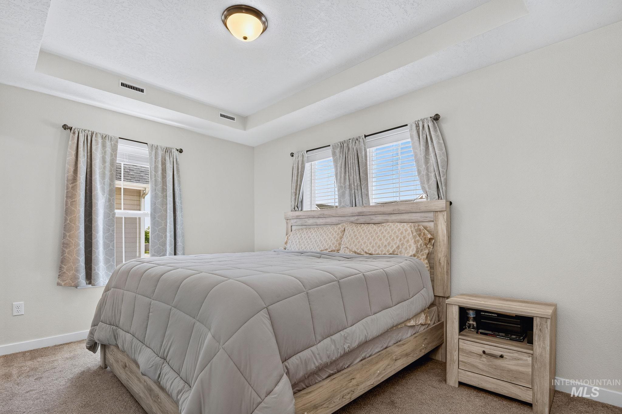 Bedroom featuring a tray ceiling with recessed lighting, light-colored walls, and two windows with blinds