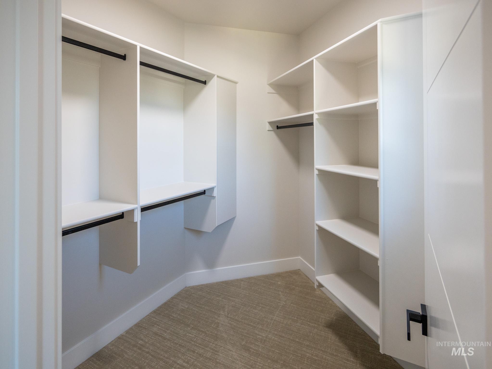 Walk in closet with light carpet