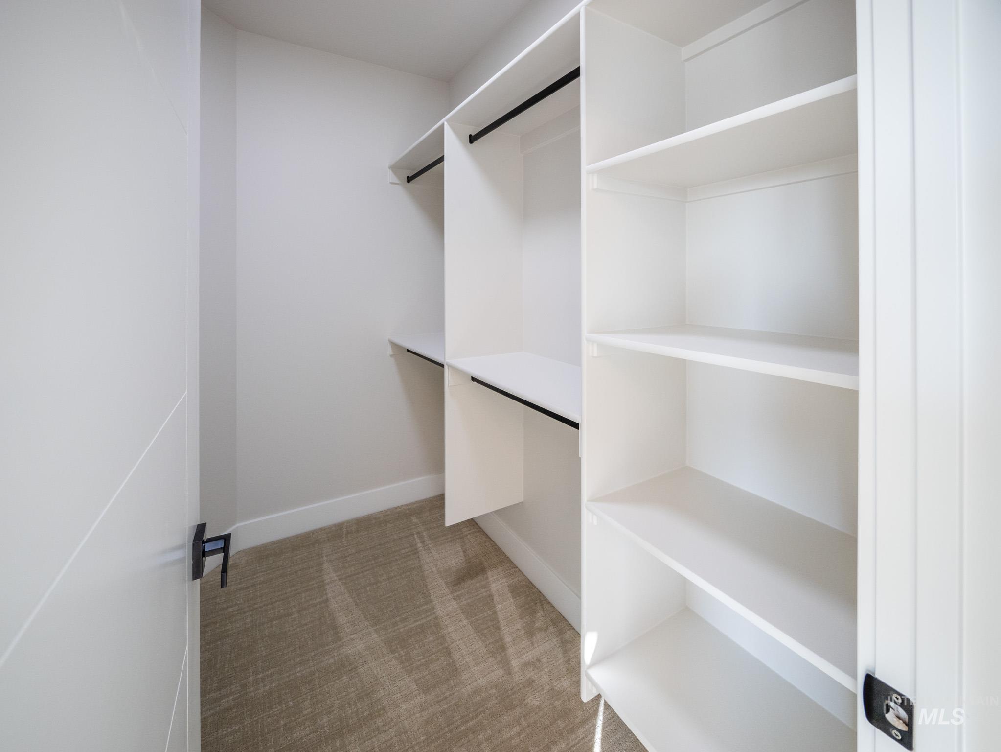 Walk in closet with light colored carpet