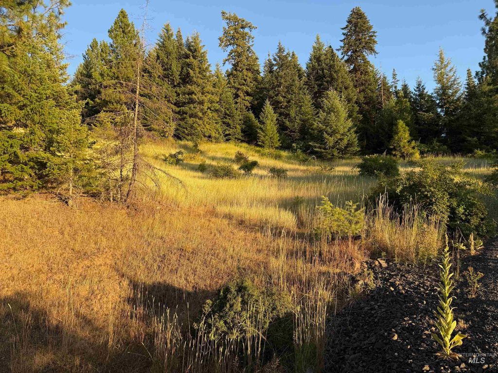 Photo of 993 Norton Knob Ln, Orofino, ID 83544 (MLS # 98957637)