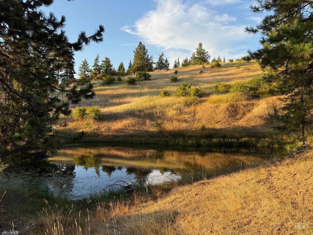 Photo of 993 Norton Knob Ln, Orofino, ID 83544 (MLS # 98957637)