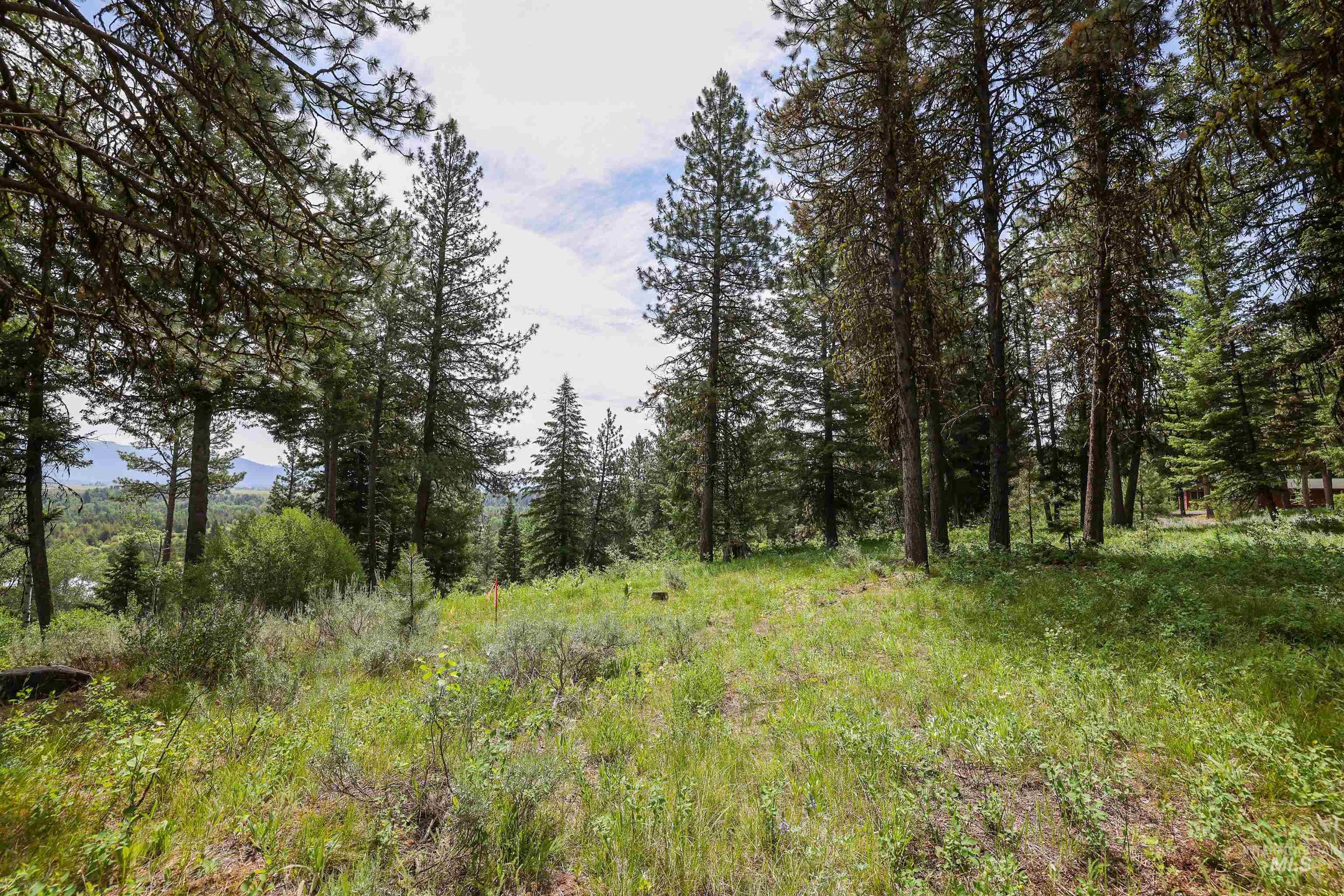 View of wooded area