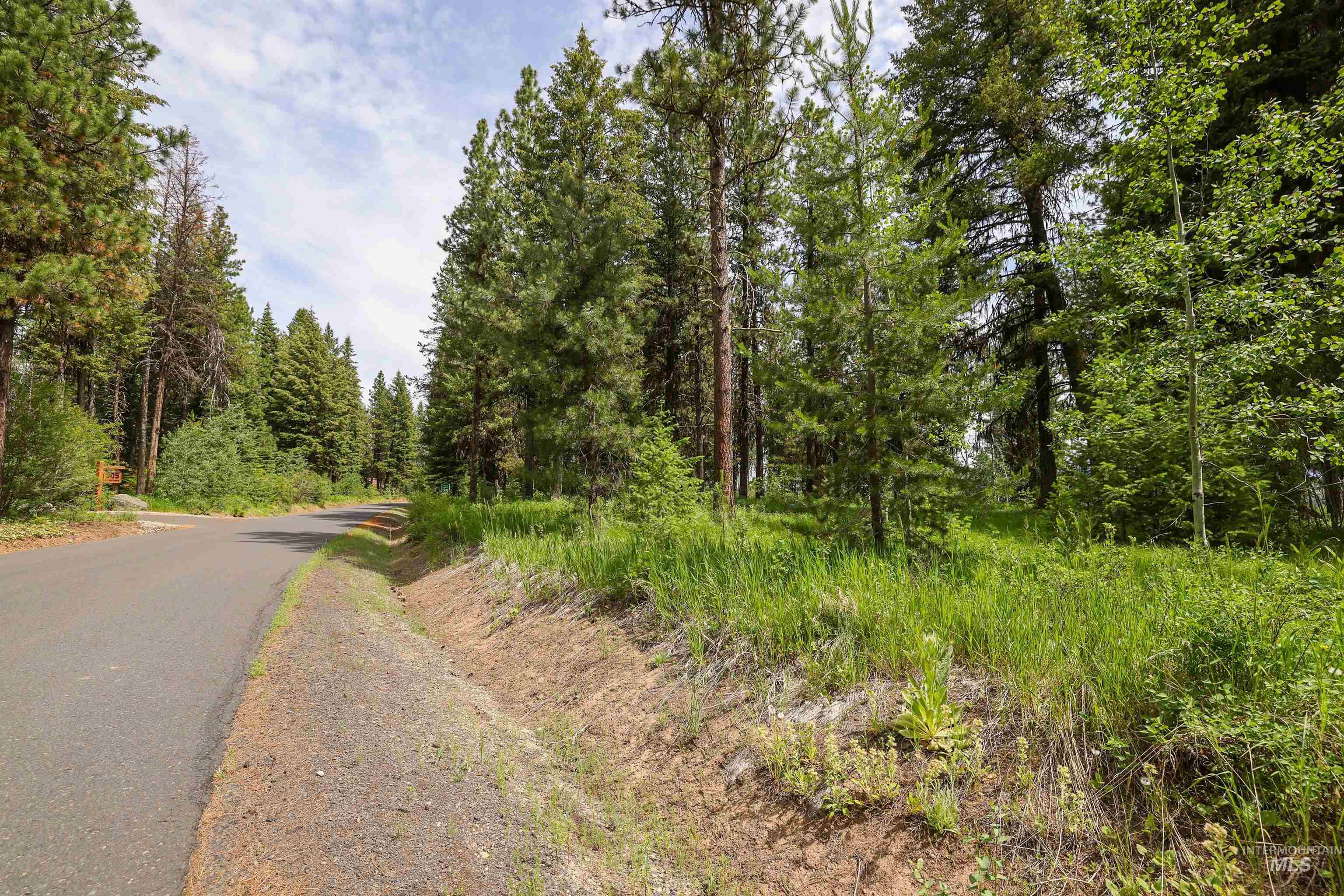View of asphalt road with a view of trees