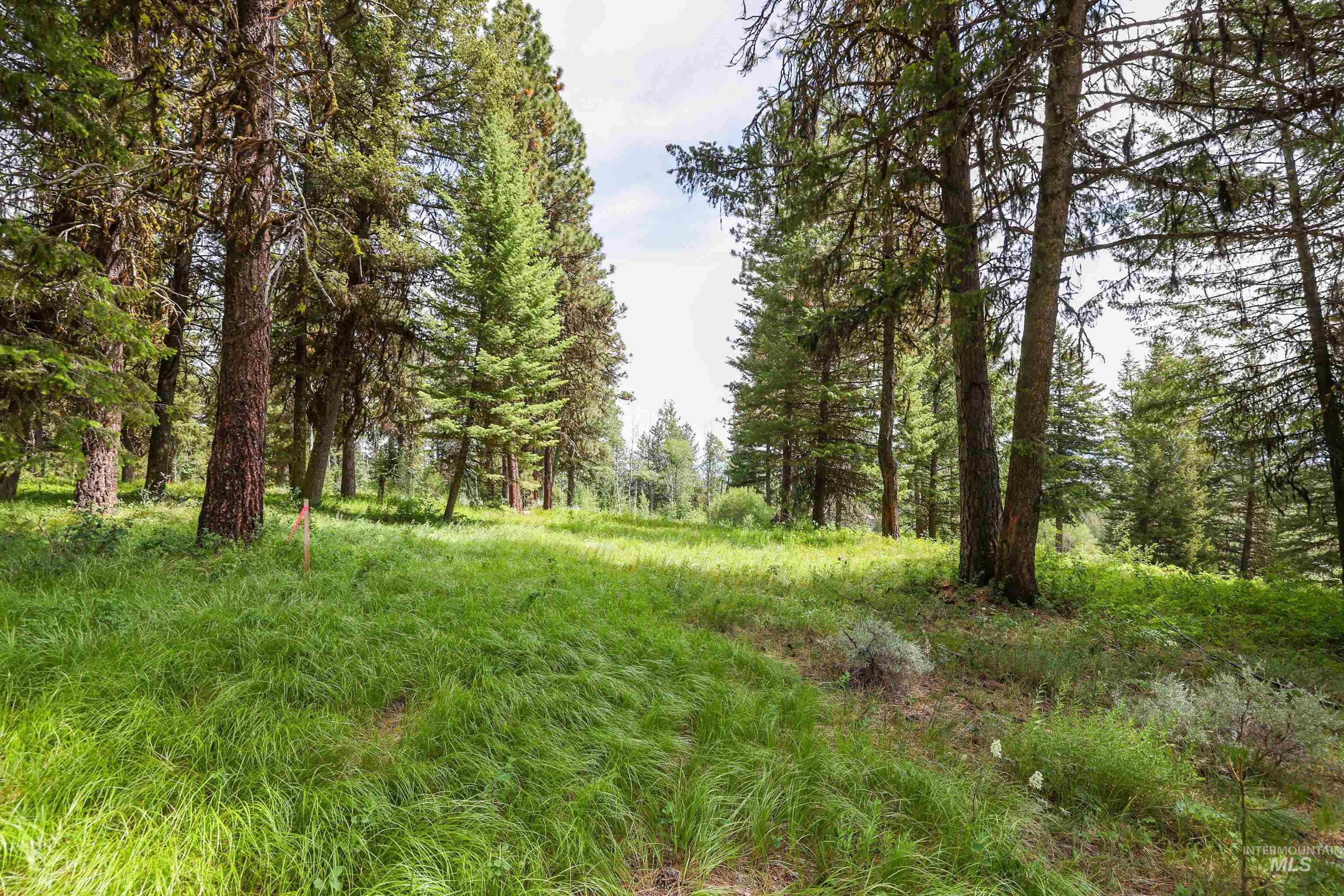 View of wooded area