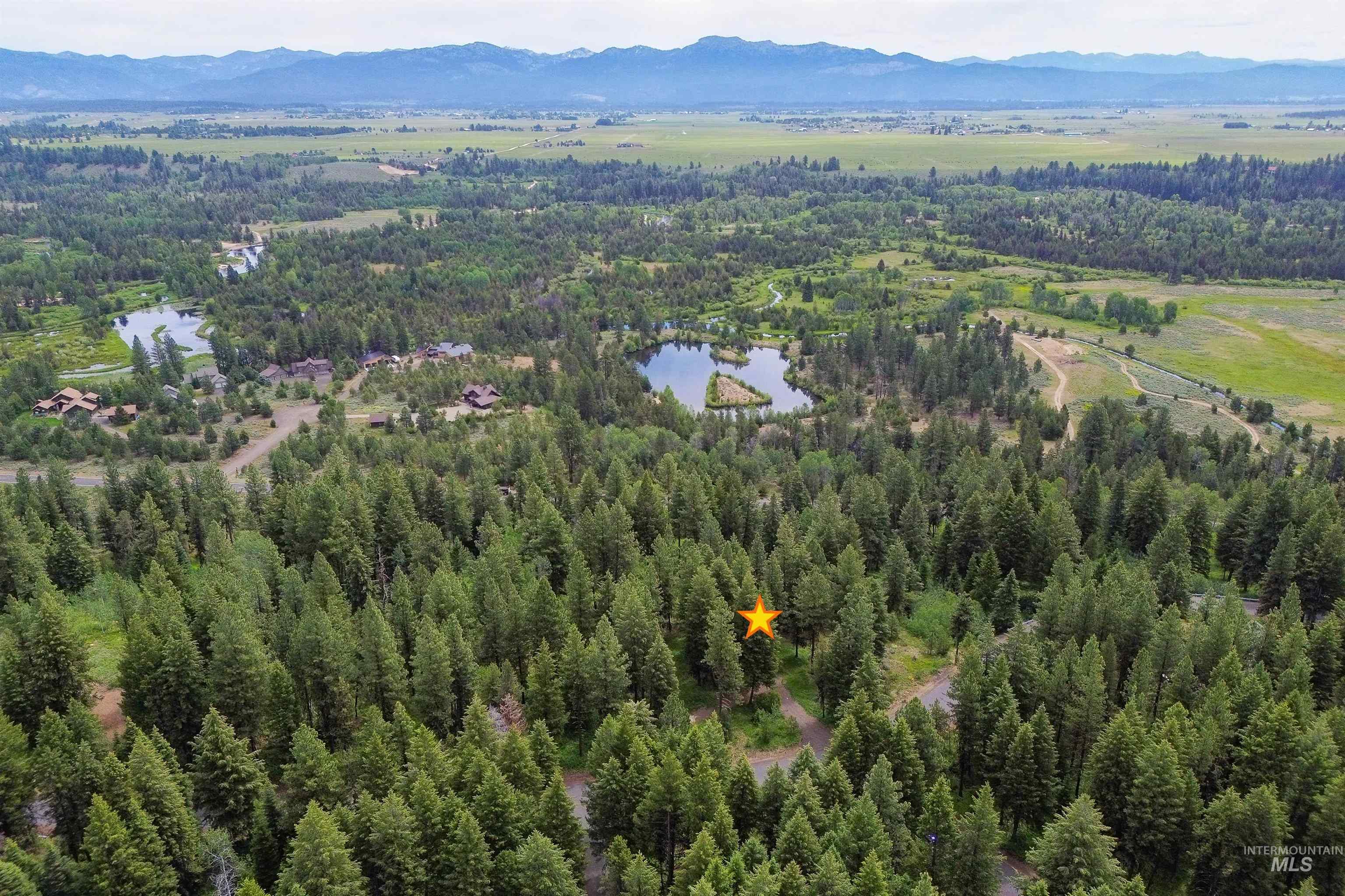 Drone / aerial view of a forest and a water and mountain view