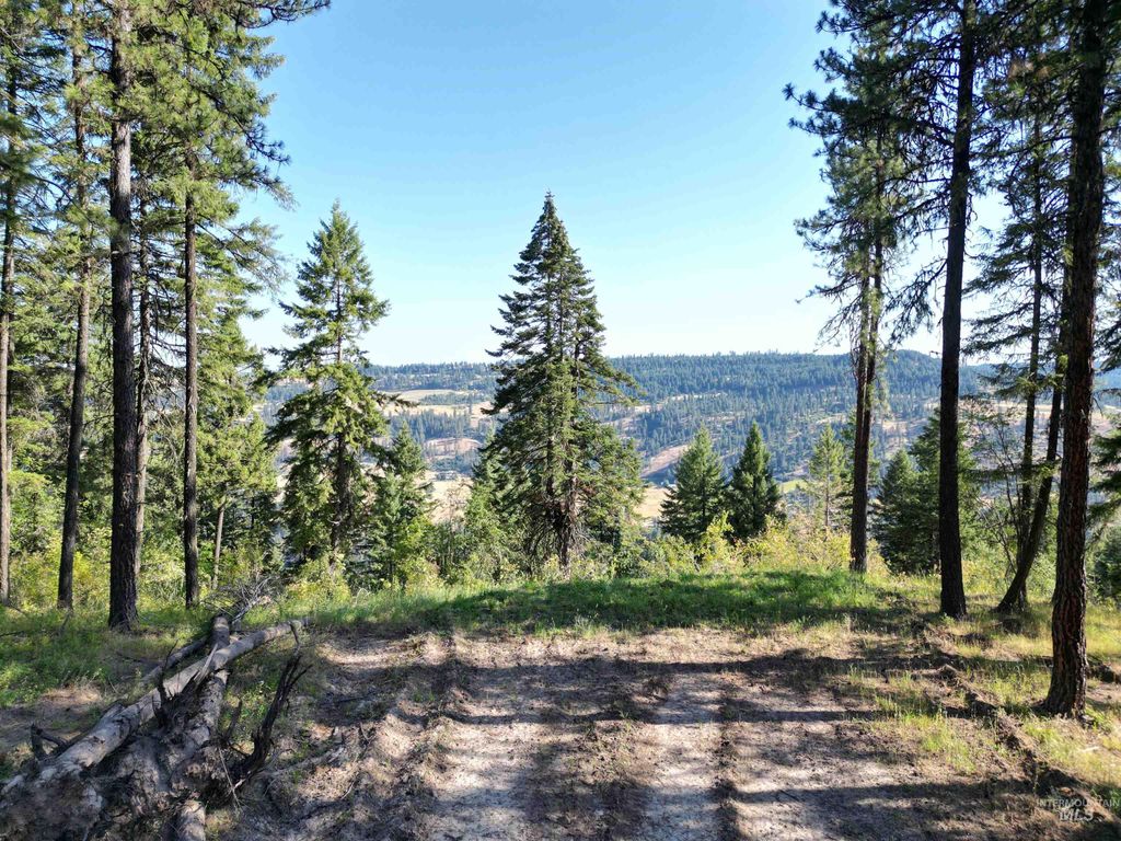Photo of 750 Mountain Top Drive, Orofino, ID 83544 (MLS # 98954970)
