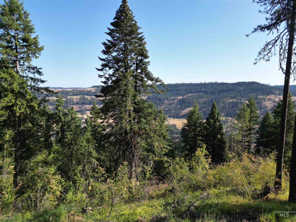 Photo of 750 Mountain Top Drive, Orofino, ID 83544 (MLS # 98954970)