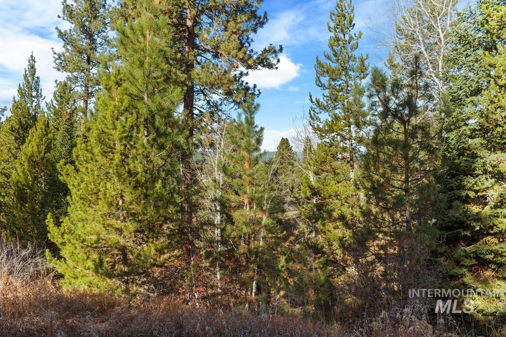 Photo of 301 W Mill Street, Cascade, ID 83611 (MLS # 98966179)