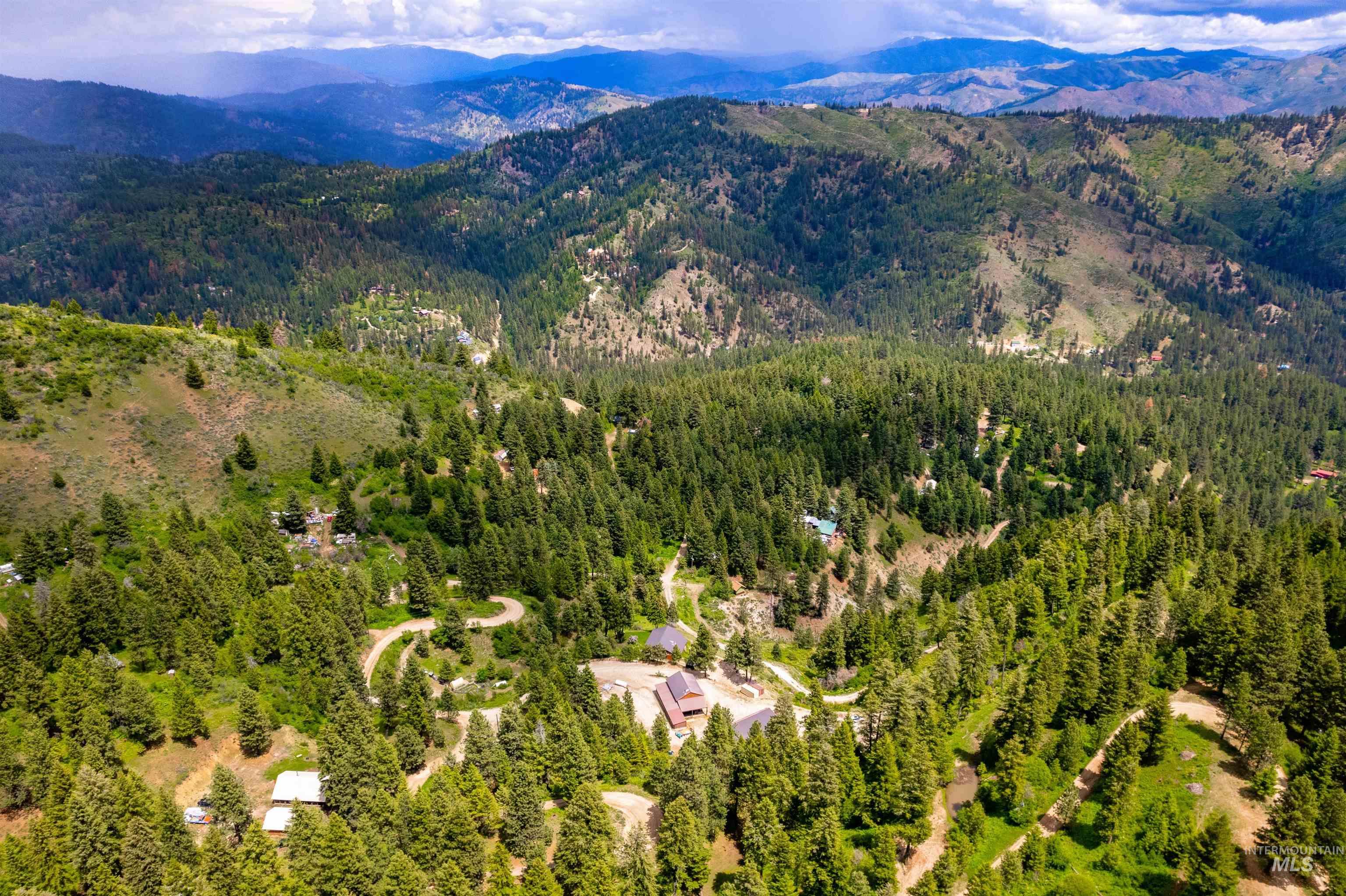 Drone / aerial view of a mountain backdrop and a forest