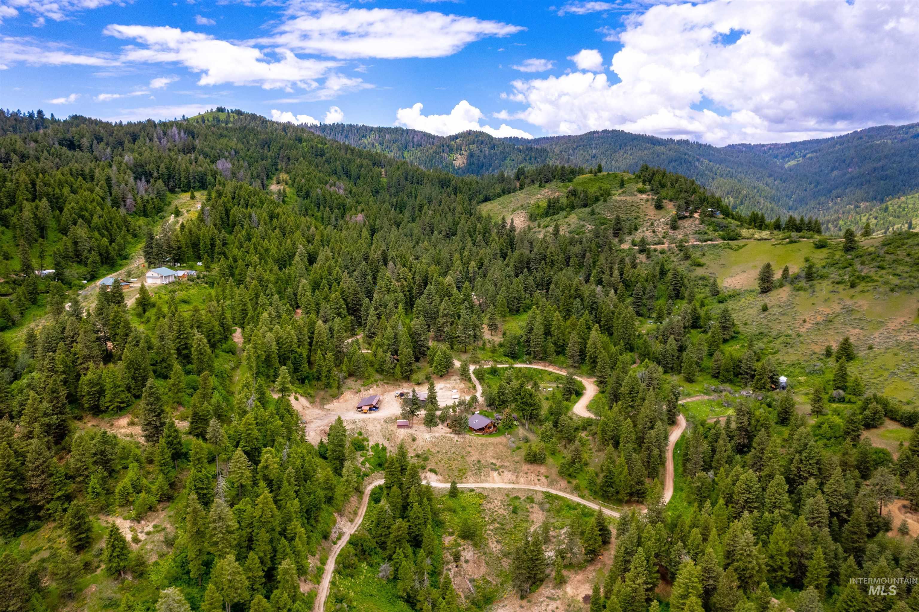 Bird's eye view of a forest and a mountainous background