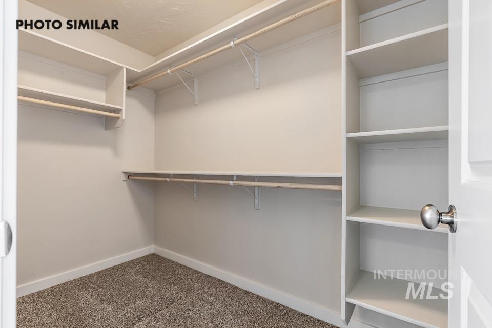 Spacious closet with dark colored carpet