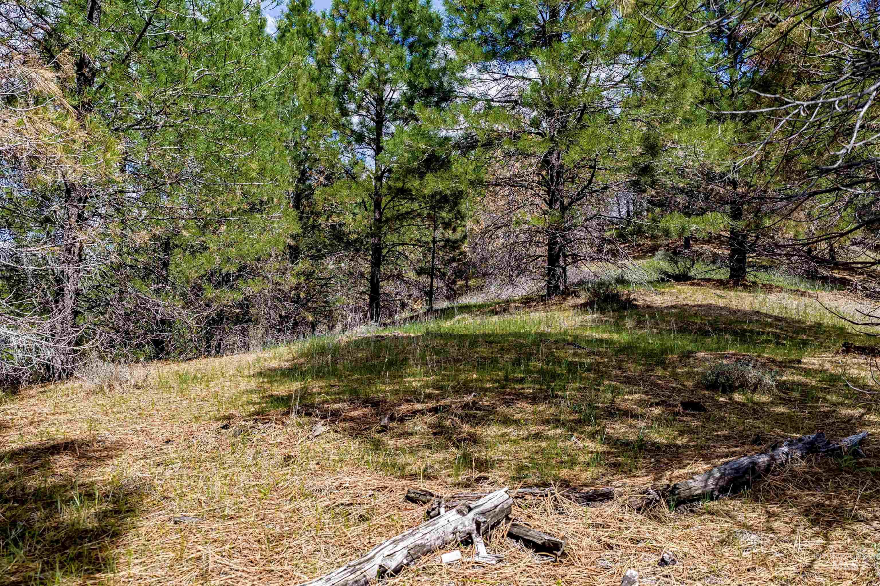 TBD Trails End Way
