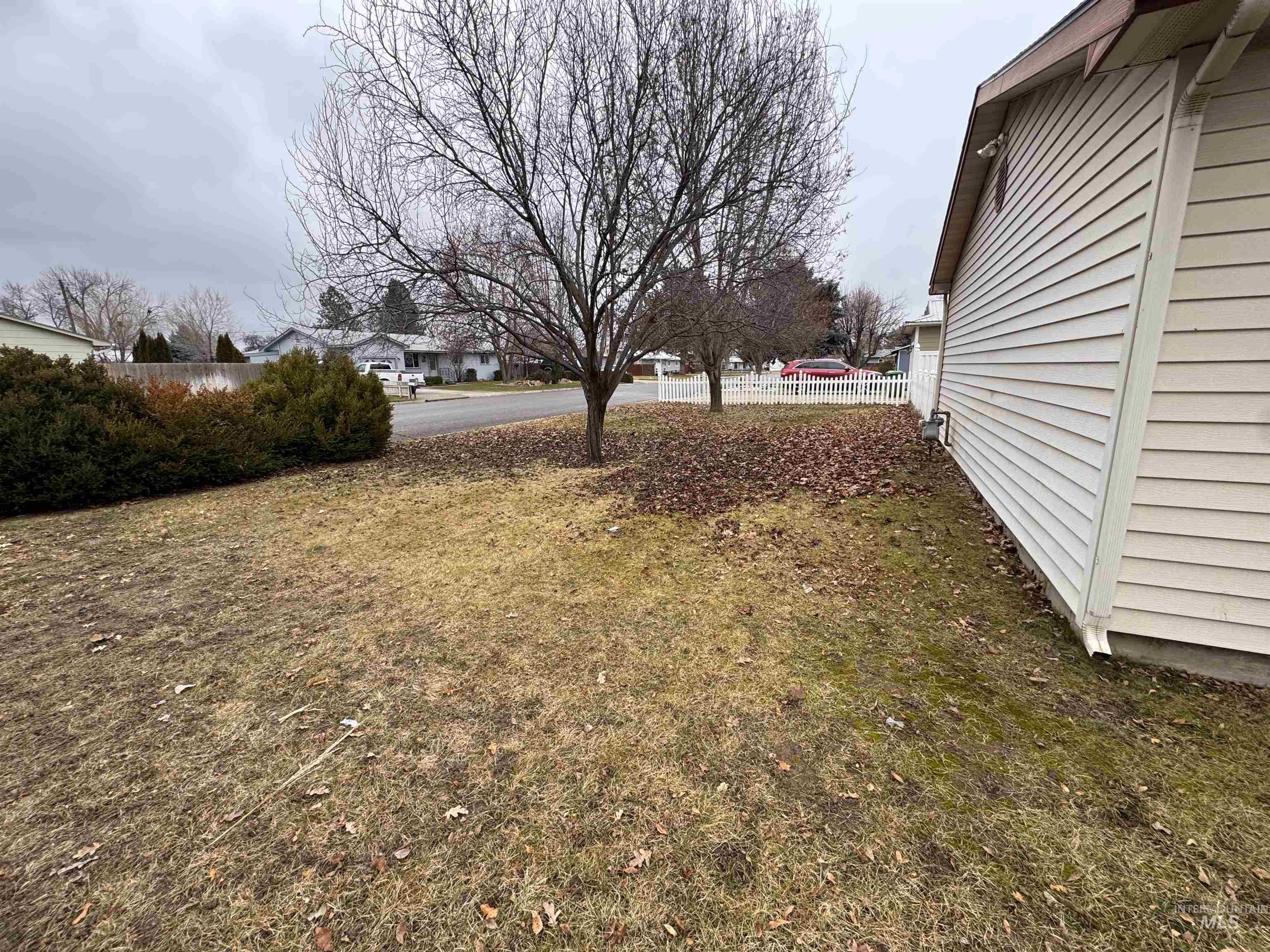 View of yard featuring a residential view