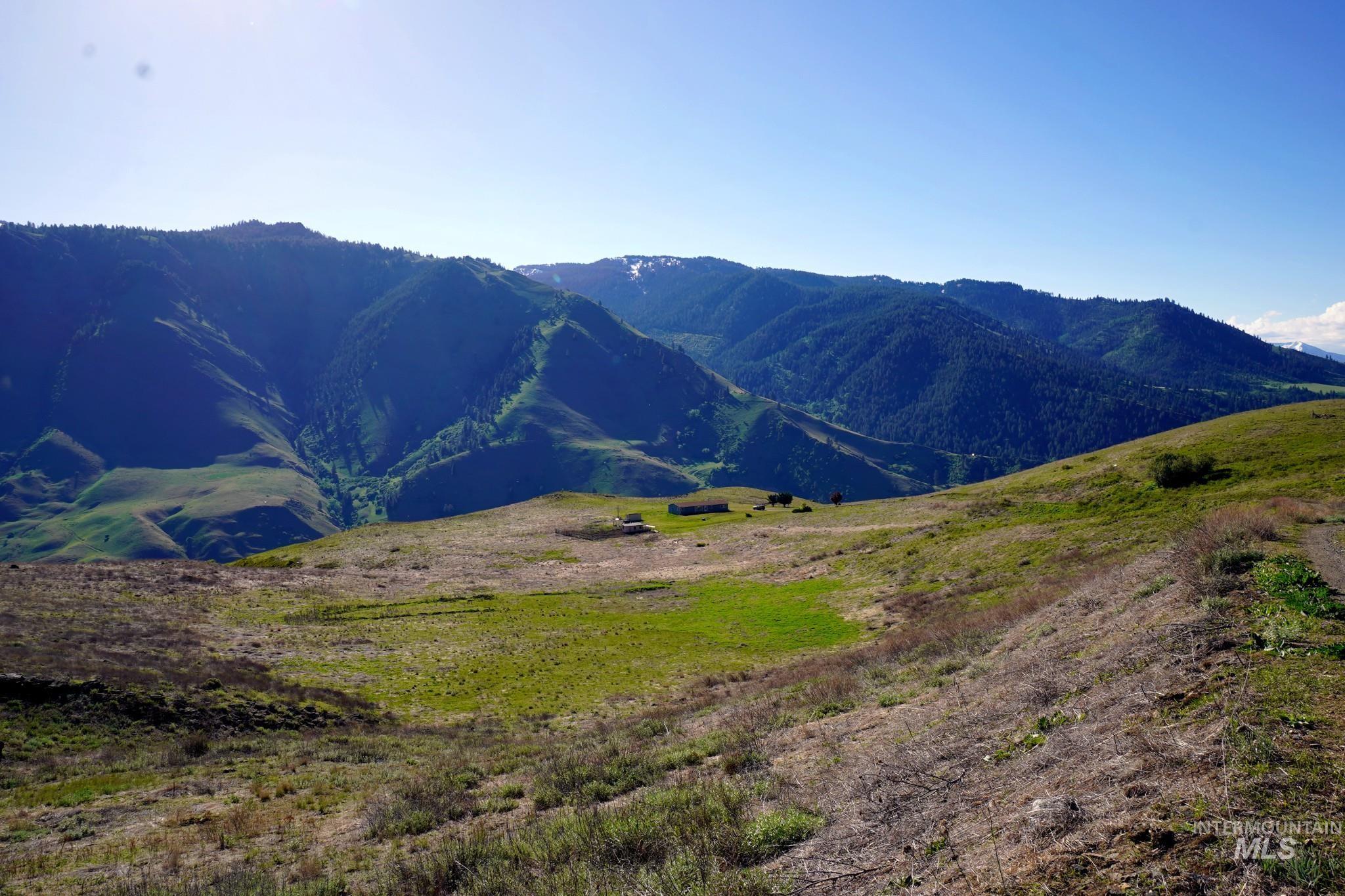 703 Whitewater Wilderness Drive, Pollock, Idaho image 10