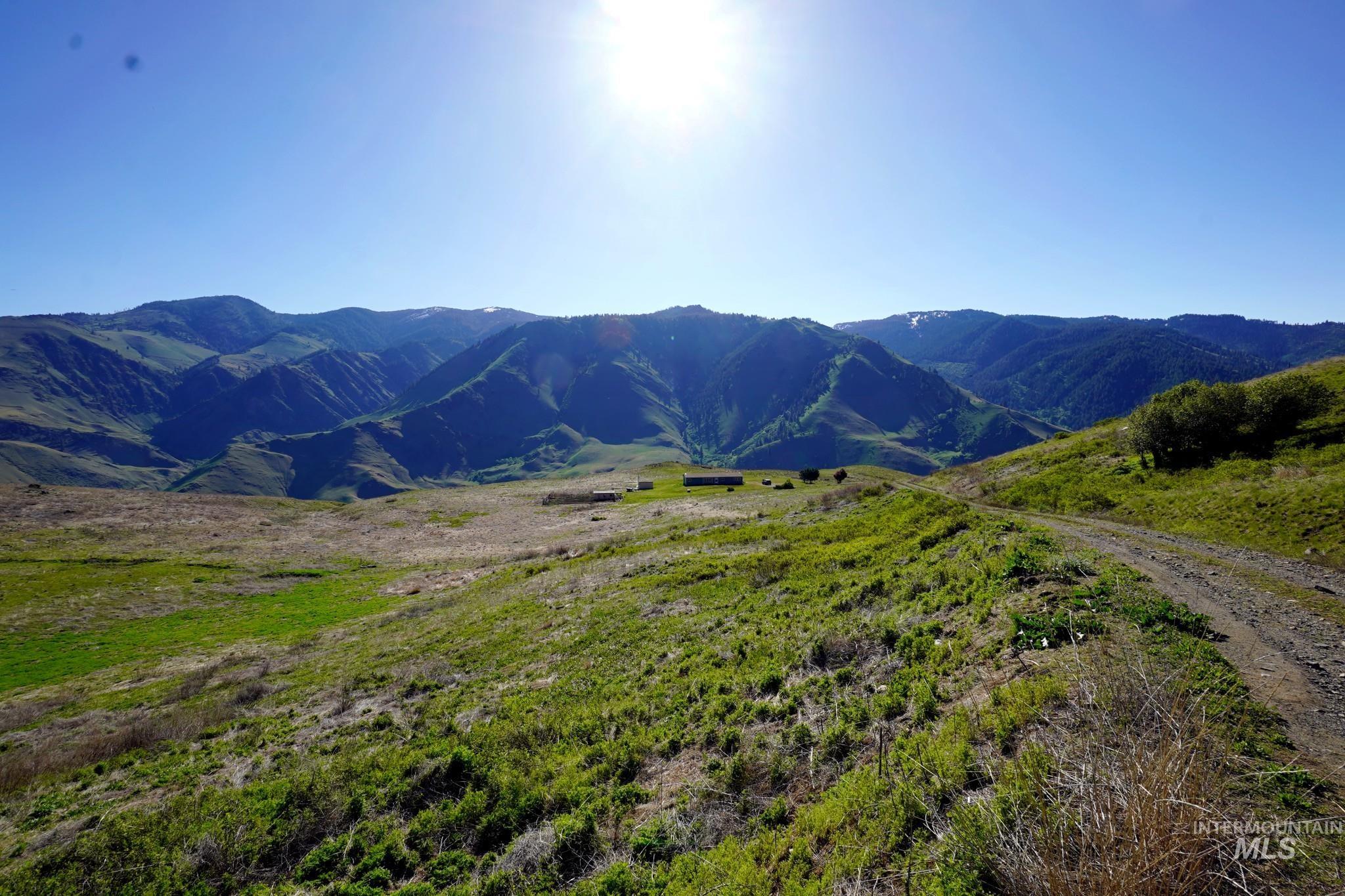 703 Whitewater Wilderness Drive, Pollock, Idaho image 13