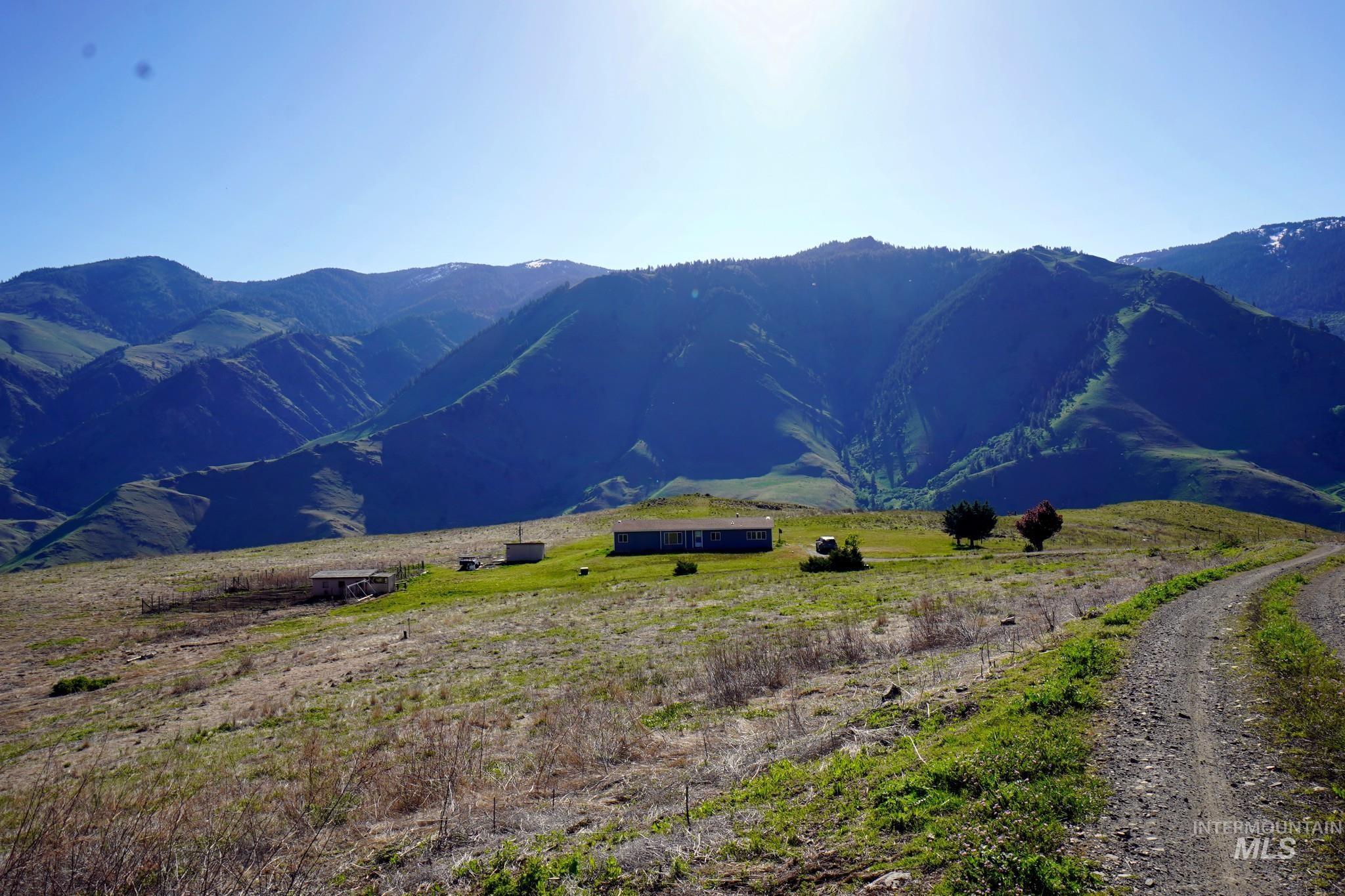 703 Whitewater Wilderness Drive, Pollock, Idaho image 8