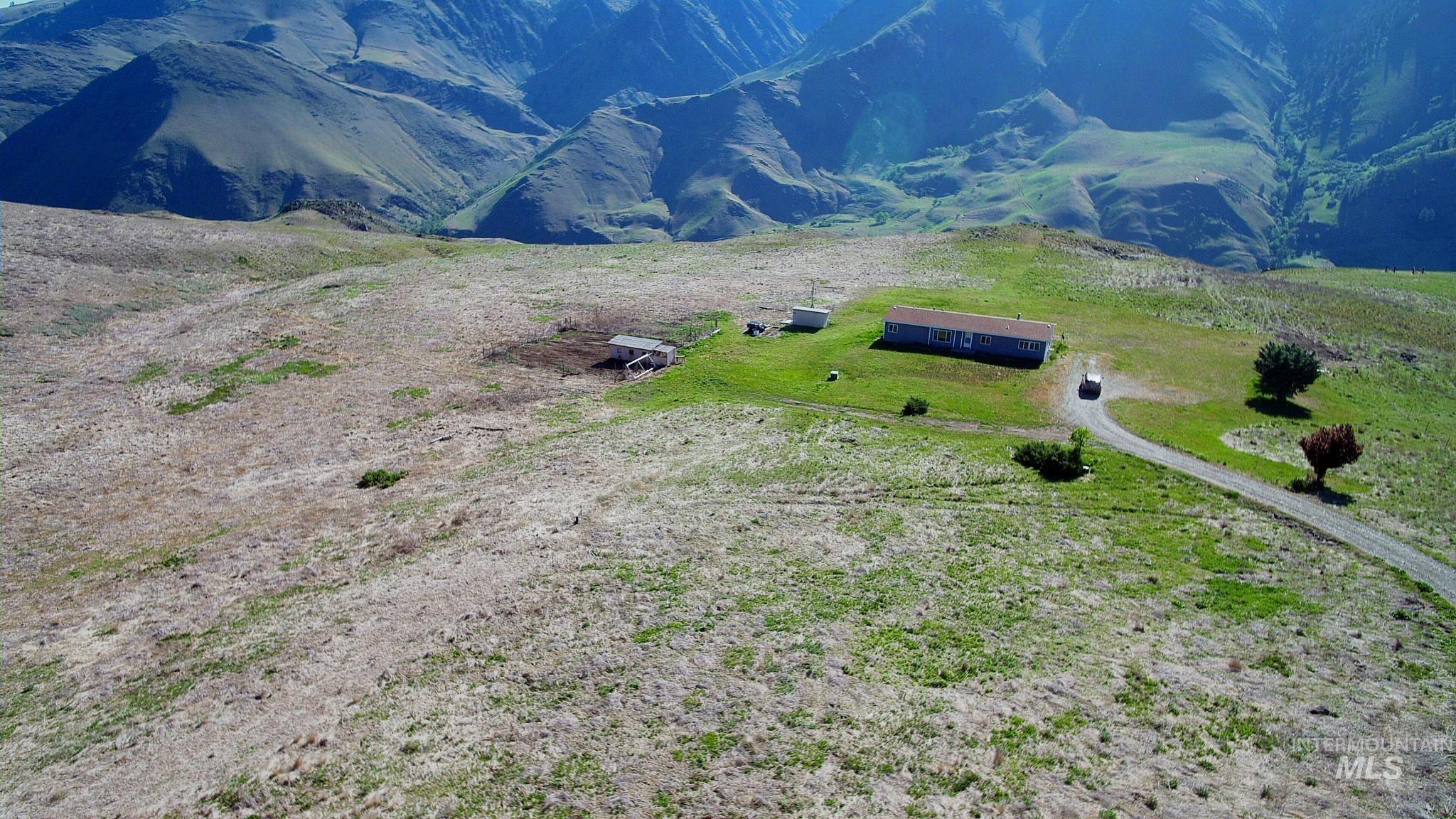 703 Whitewater Wilderness Drive, Pollock, Idaho image 3