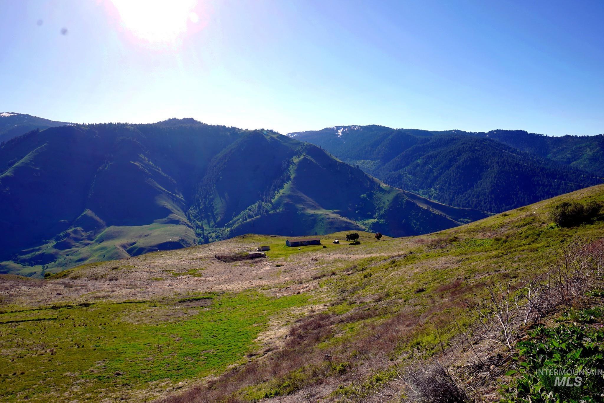 703 Whitewater Wilderness Drive, Pollock, Idaho image 9