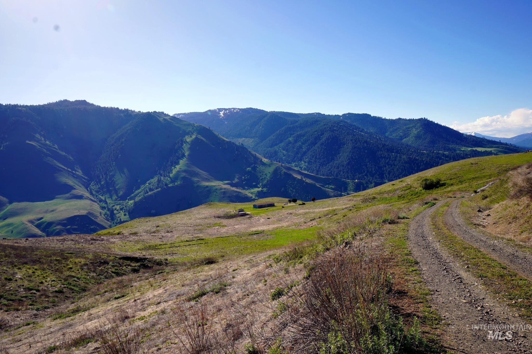 703 Whitewater Wilderness Drive, Pollock, Idaho image 11