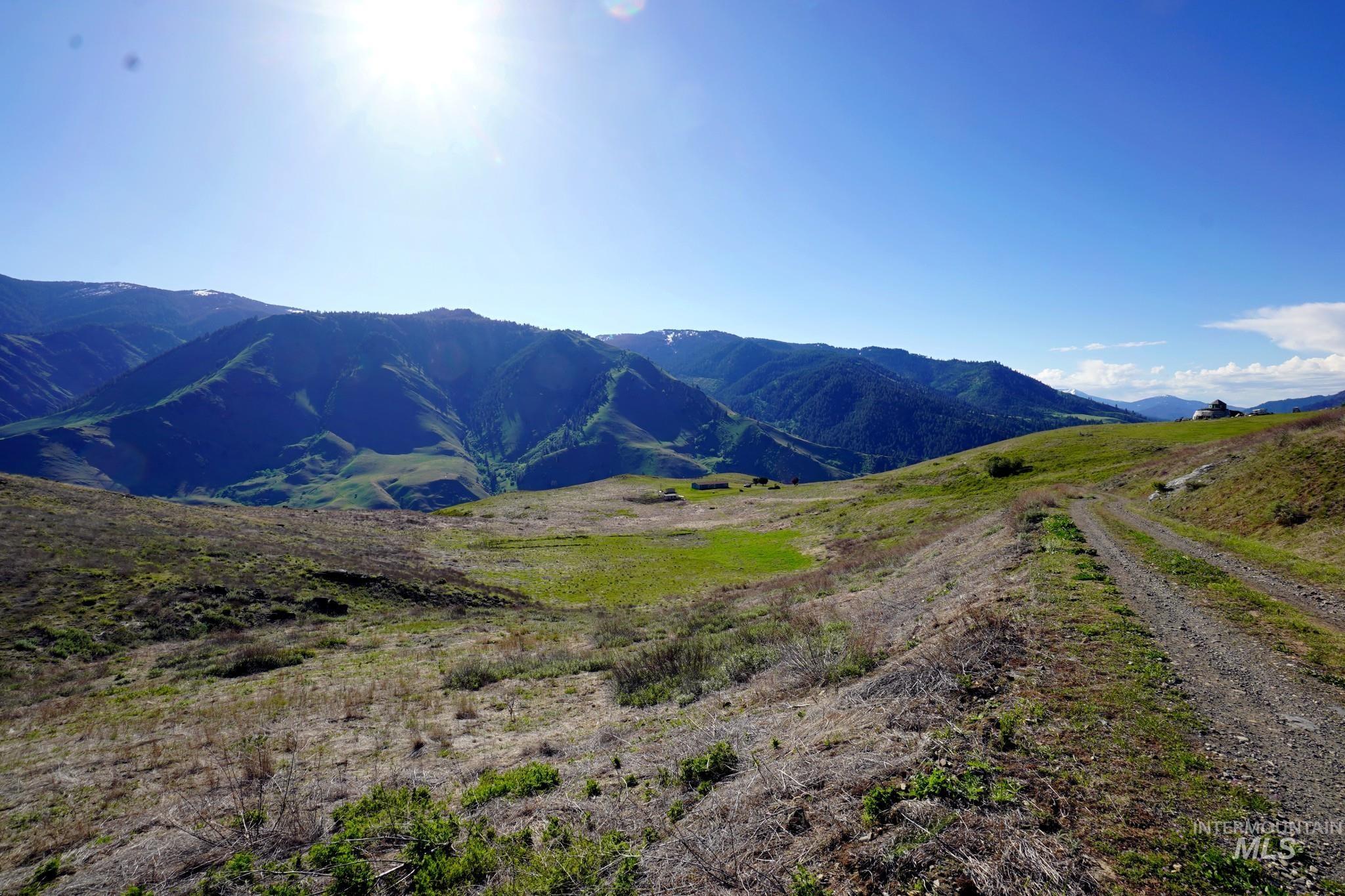 703 Whitewater Wilderness Drive, Pollock, Idaho image 12