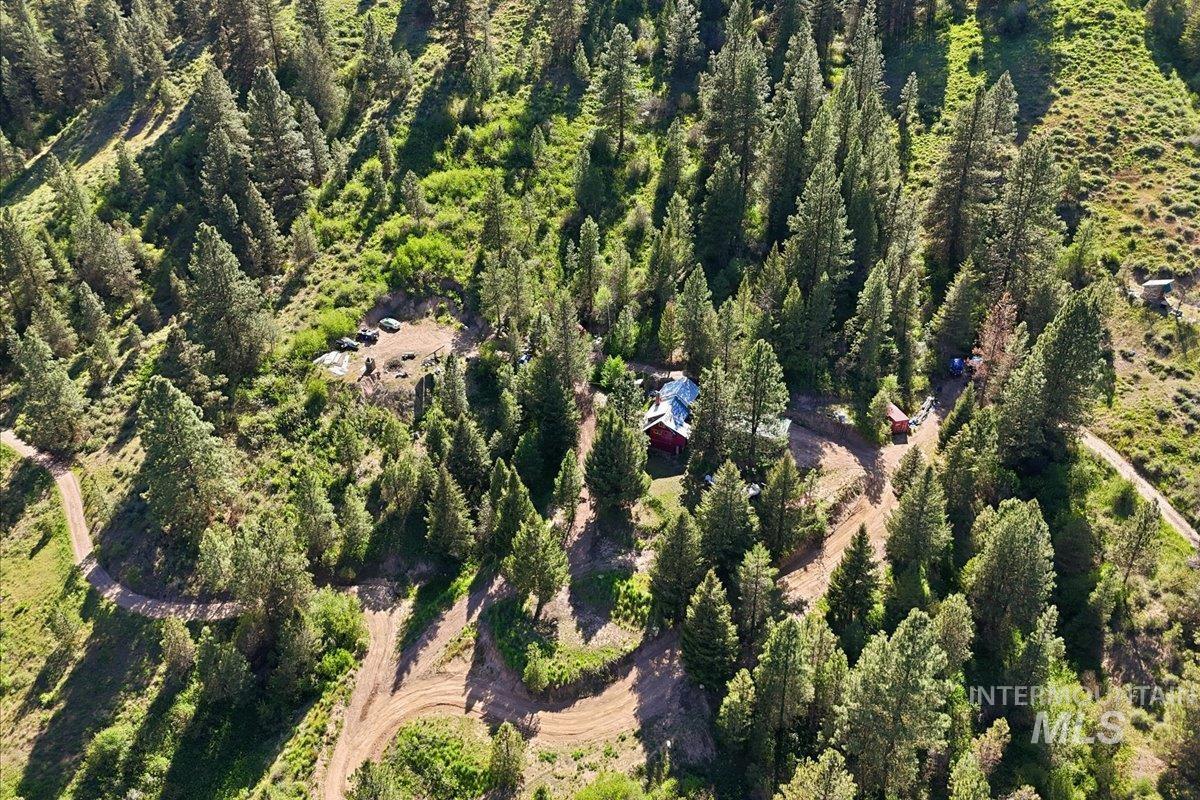 Expansive wooded property featuring a red structure with a metal roof, surrounded by mature coniferous trees and natural ground cover