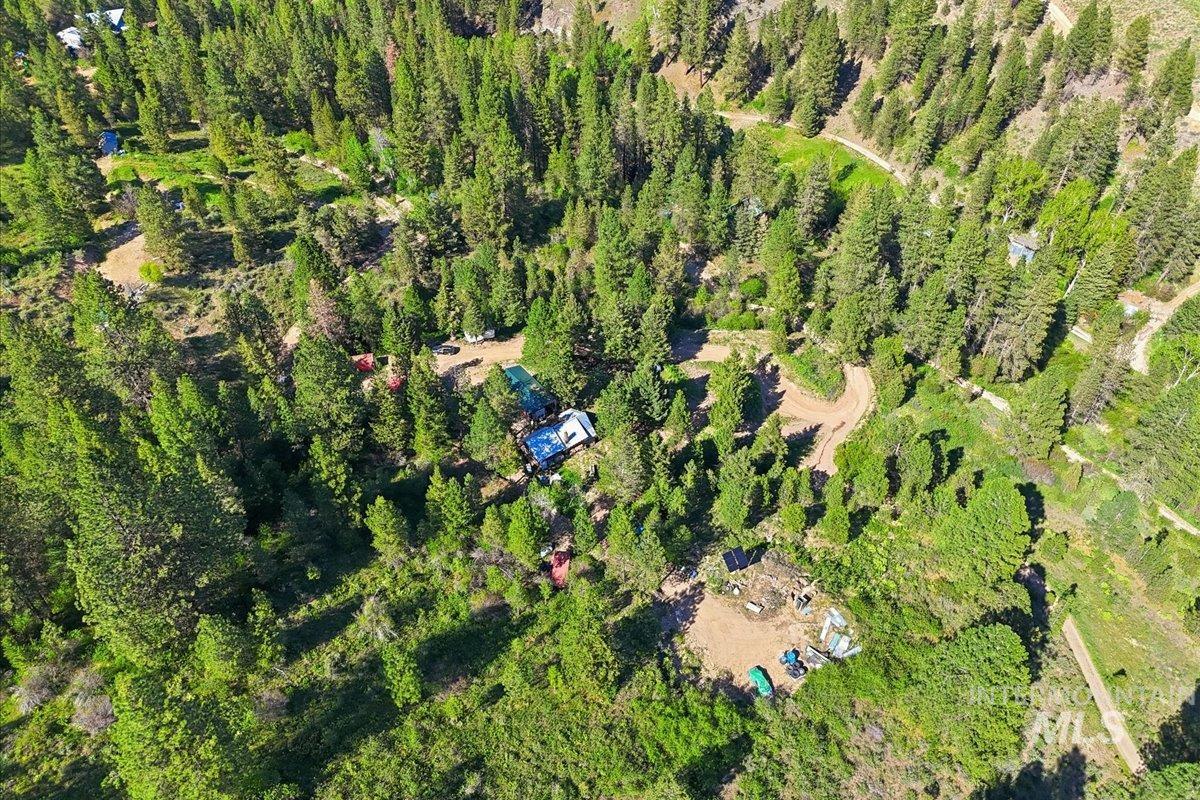Expansive treed landscape featuring varied terrain and multiple clearings