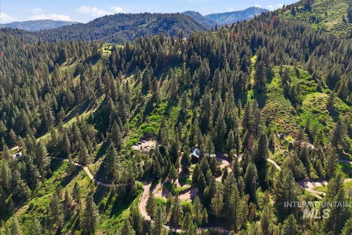 Expansive mountain property featuring dense evergreen forests and winding dirt roads