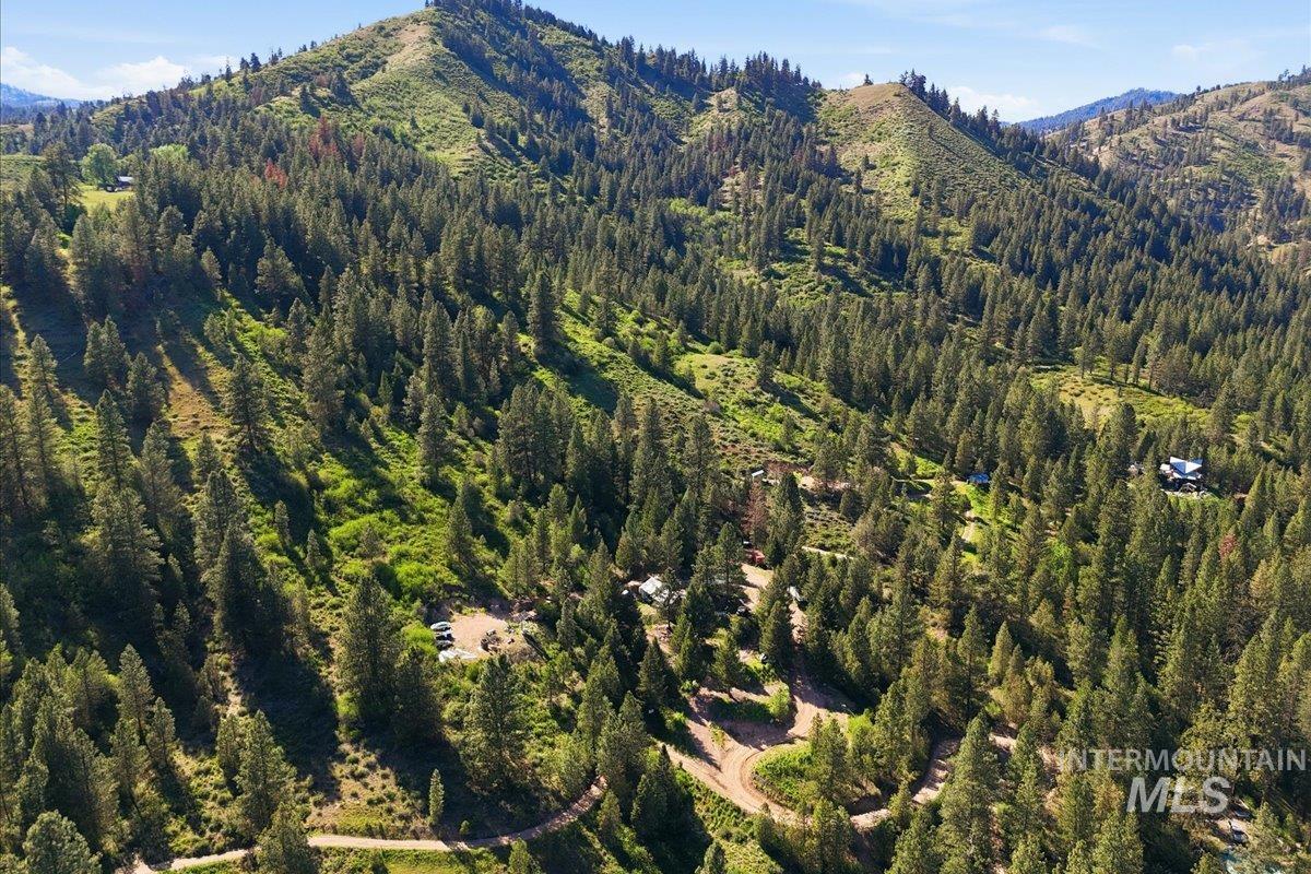 Expansive mountain terrain with dense evergreen tree coverage