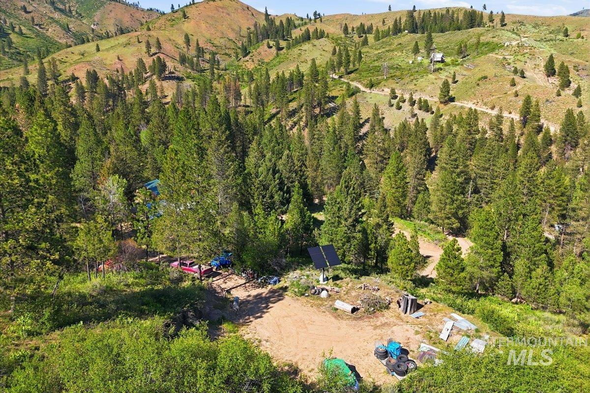 Expansive treed landscape with a visible dwelling nestled among mature evergreens