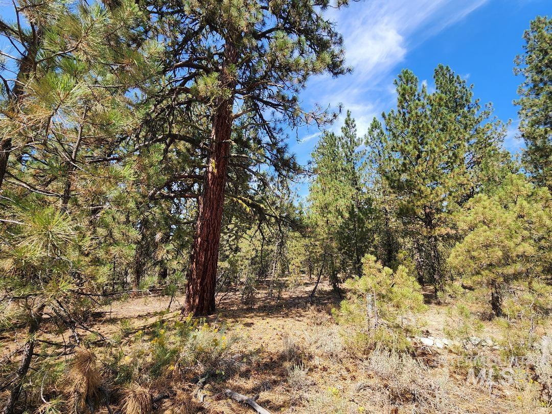 TBD N Diamond Bar Place