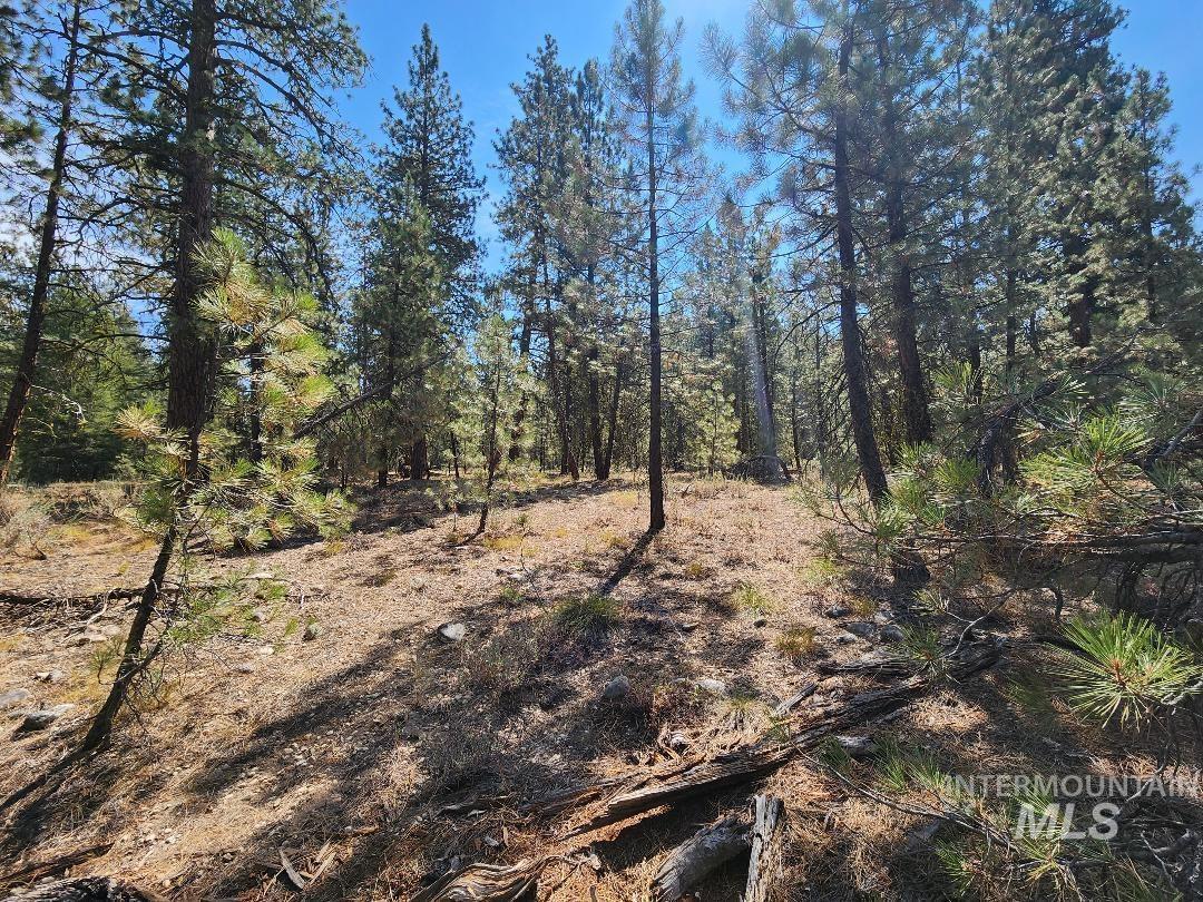 TBD N Diamond Bar Place