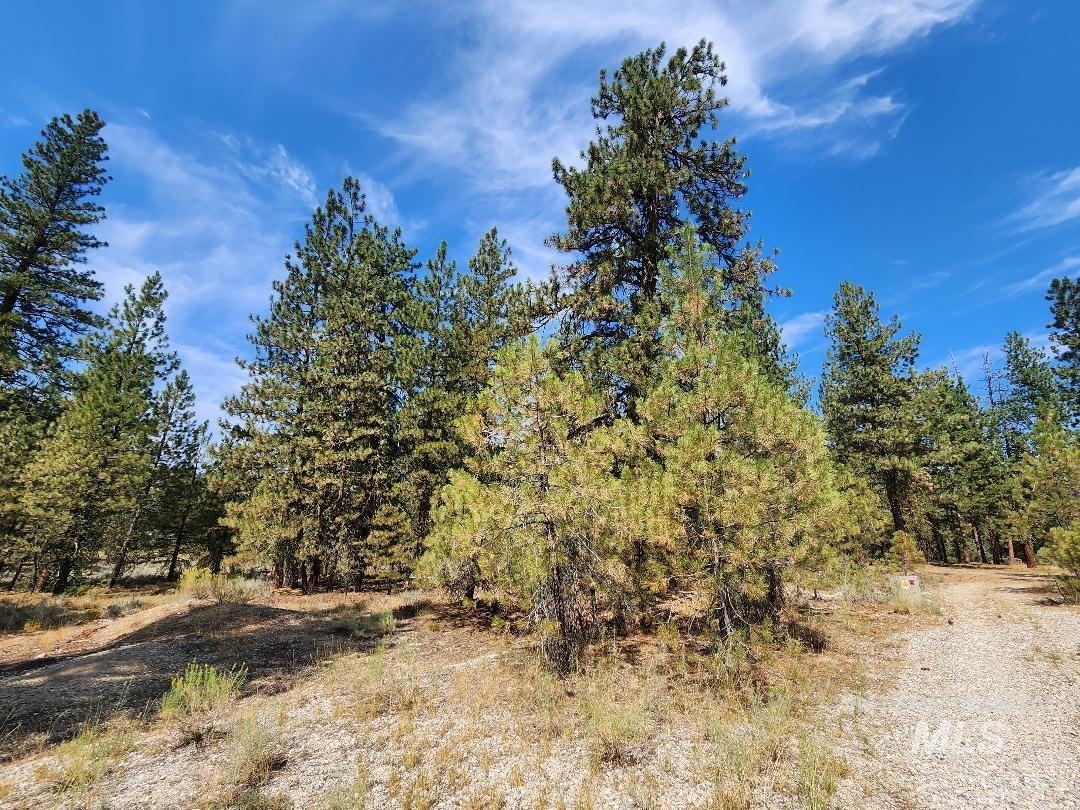 TBD N Diamond Bar Place