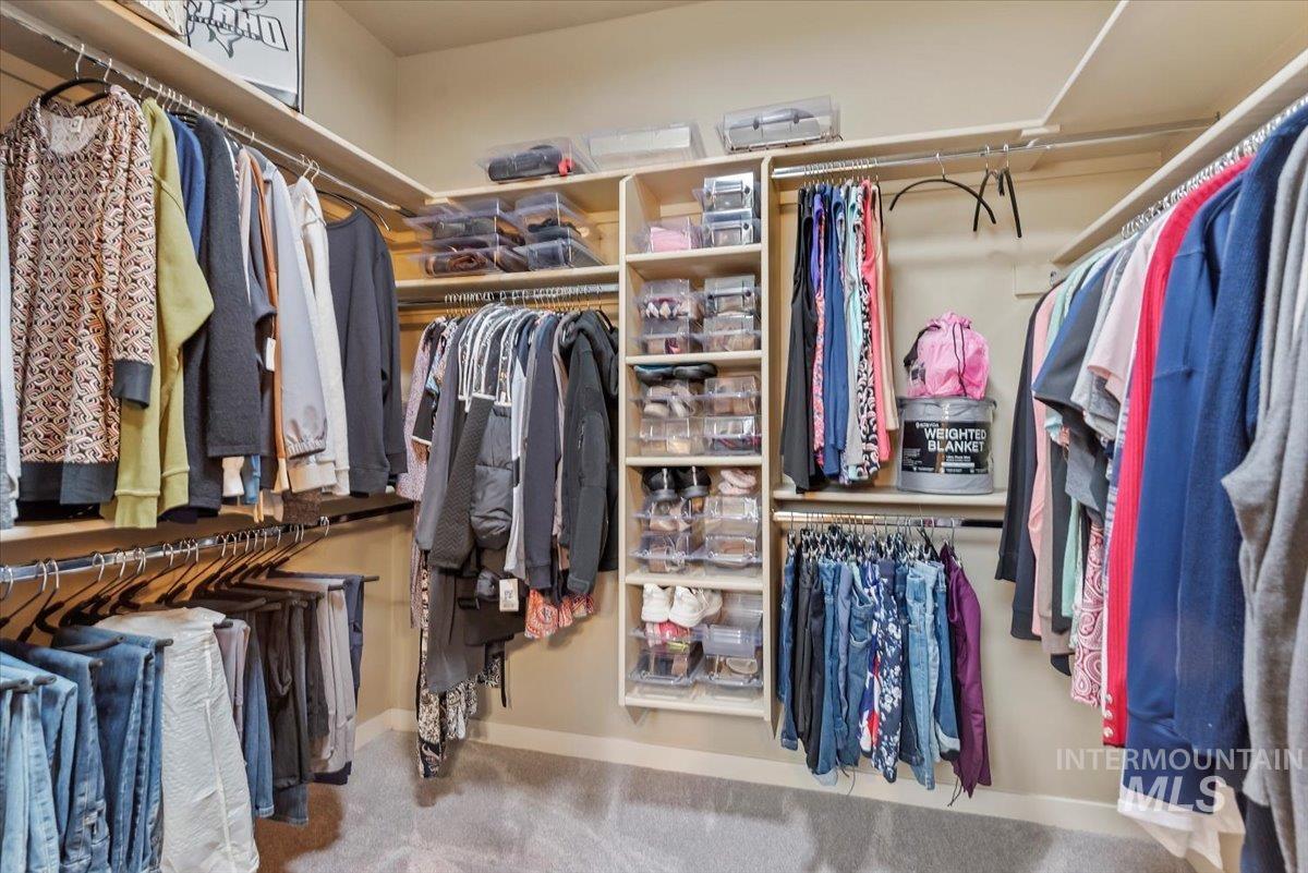 Walk in closet featuring light colored carpet