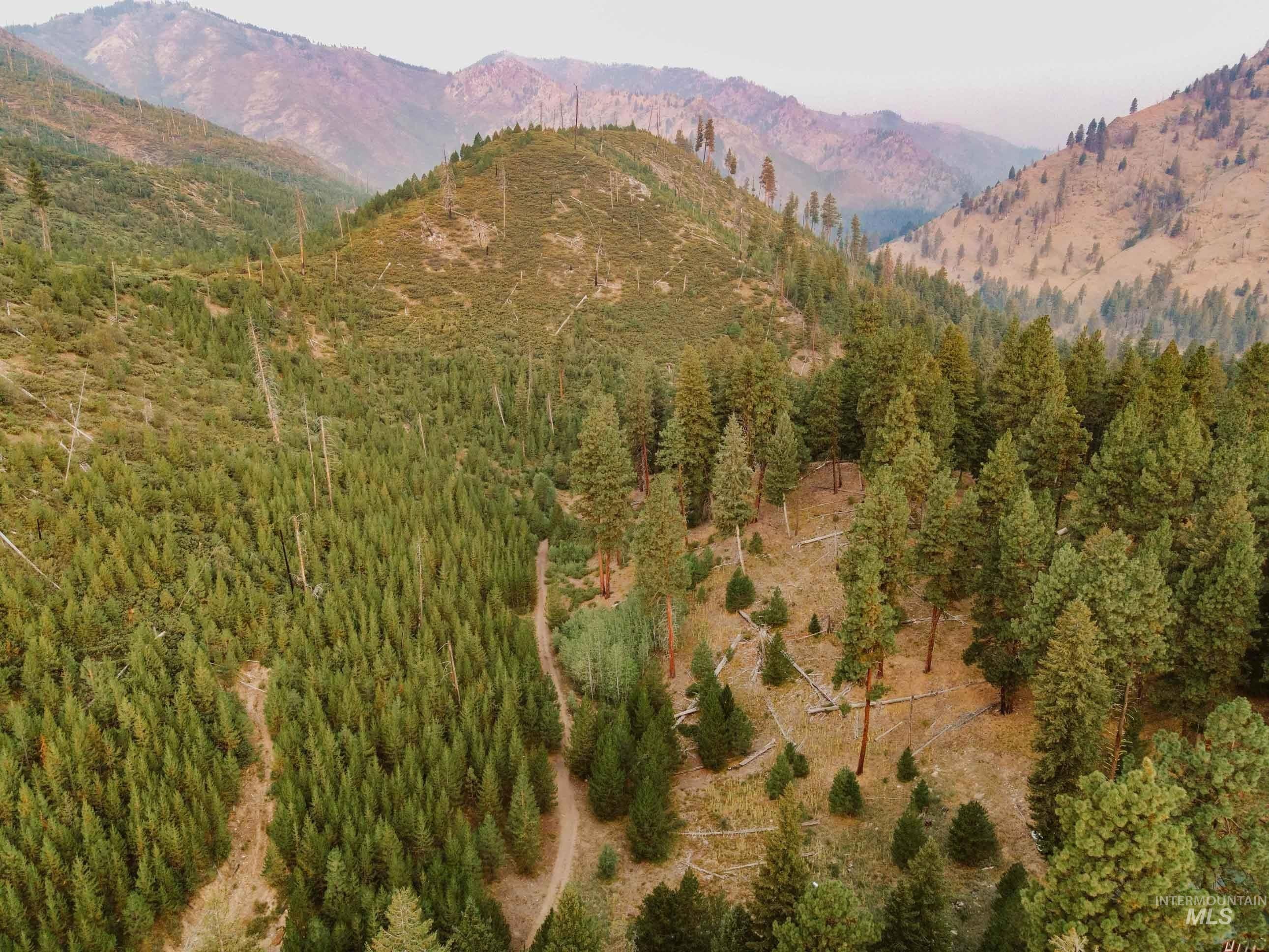 NKA Yuba Vista