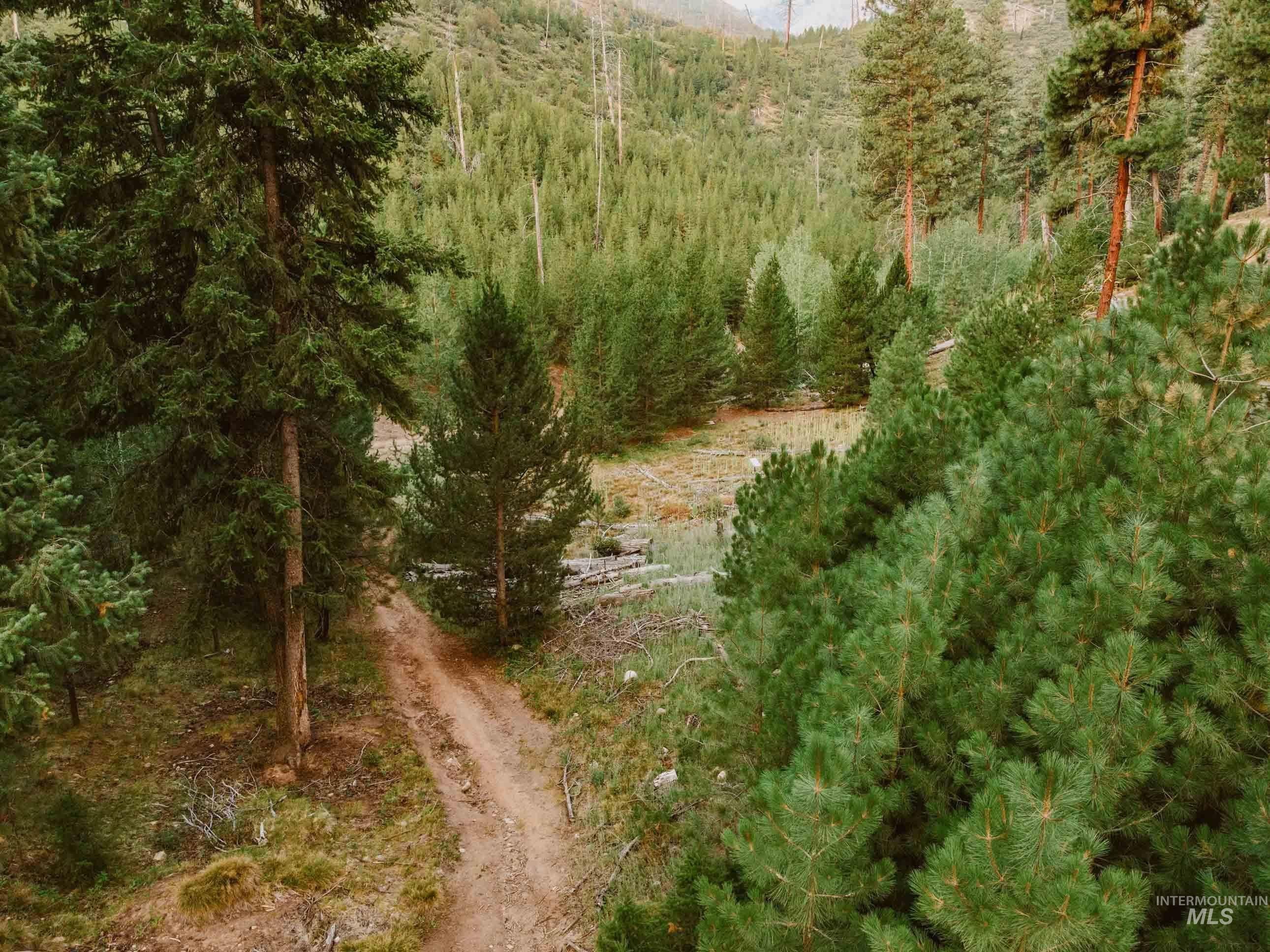 NKA Yuba Vista