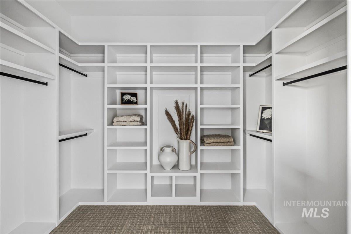 Spacious closet with dark colored carpet