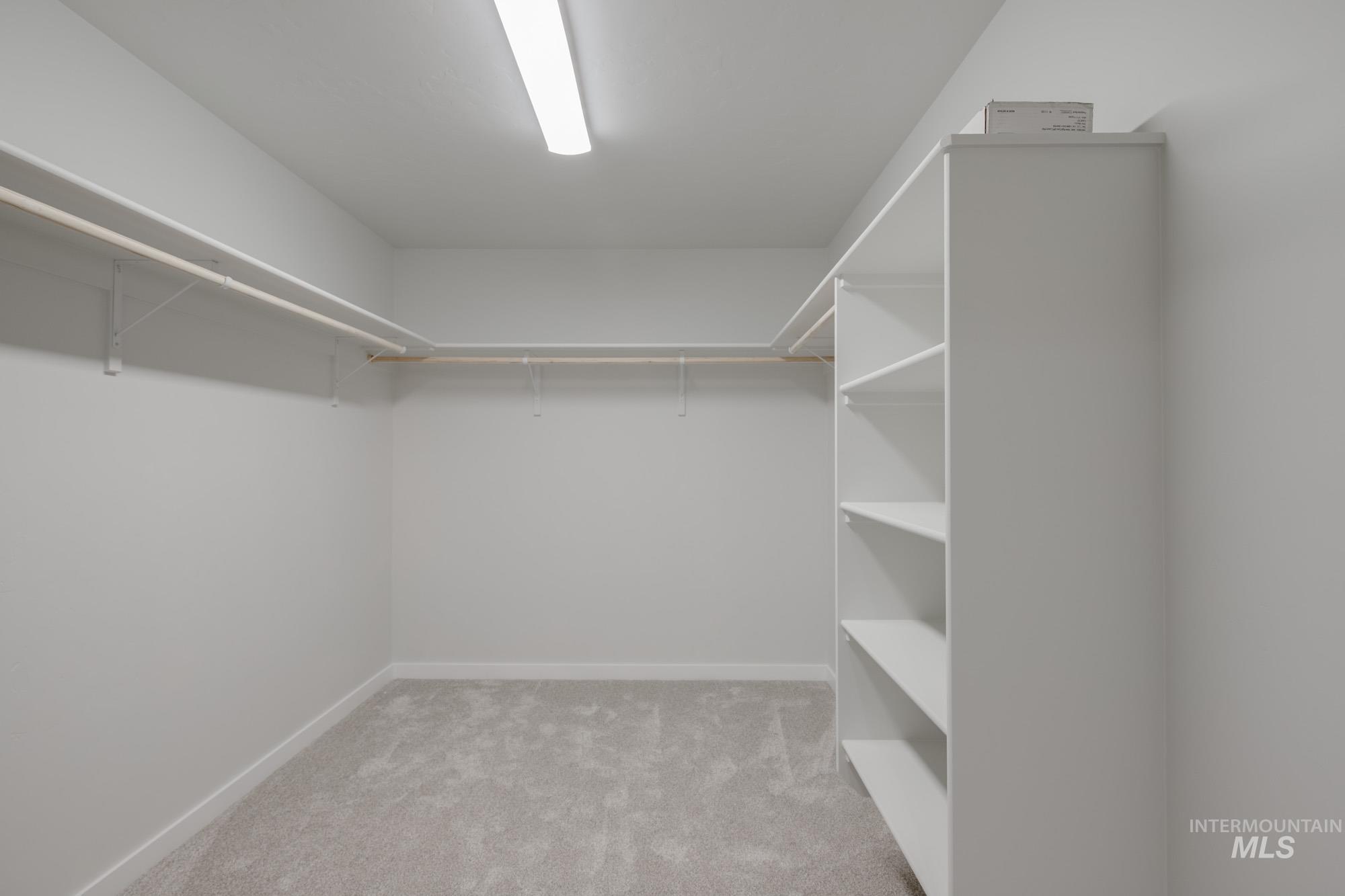 Walk in closet with carpet floors