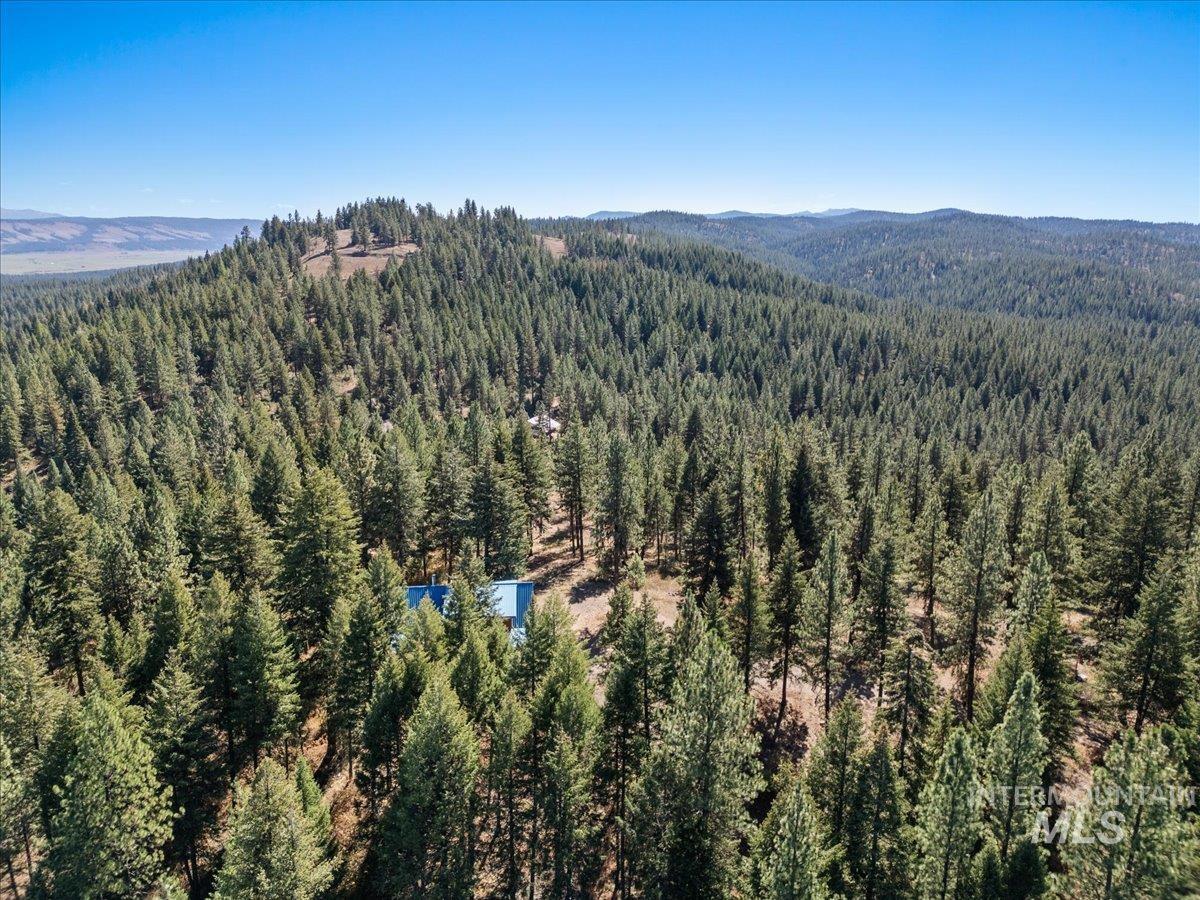 Bird's eye view of a heavily wooded area and a mountain backdrop