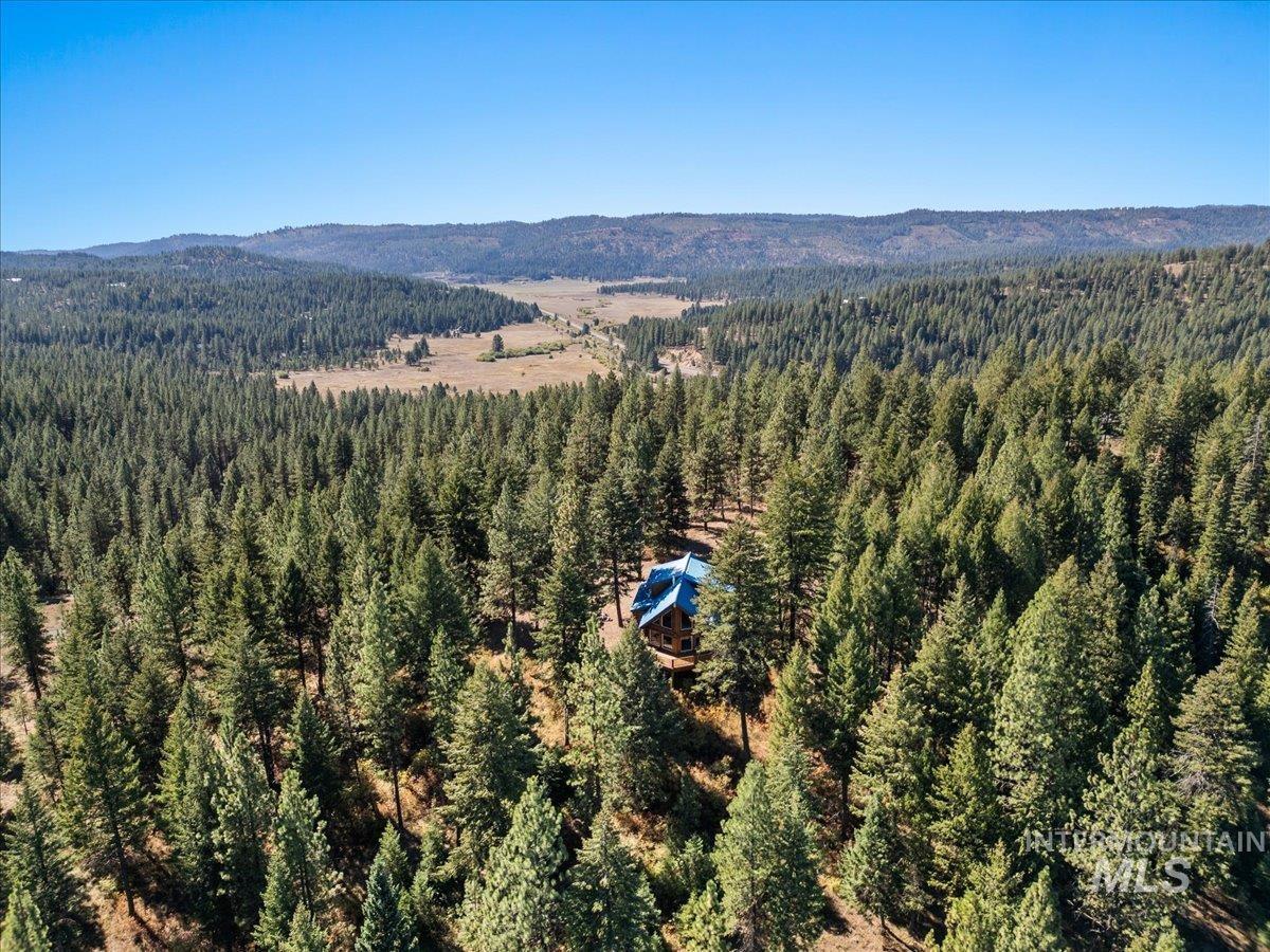 Bird's eye view of a forest and a mountain backdrop