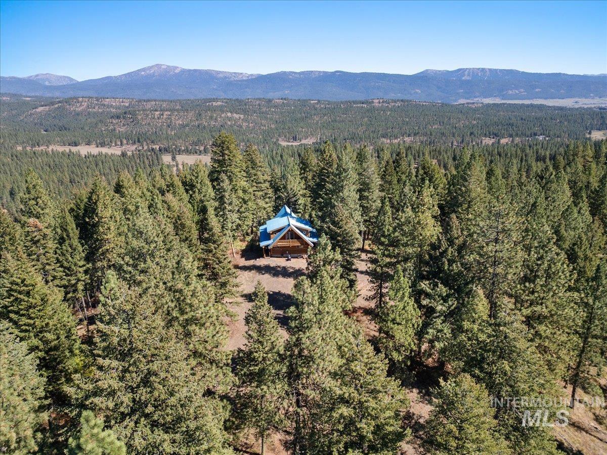 Aerial view of property and surrounding area featuring a heavily wooded area and a mountain backdrop