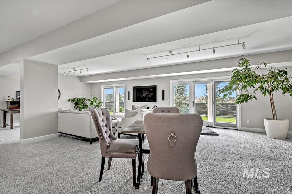 Open-concept lower level featuring sliding glass doors, track lighting, and soft gray carpeting